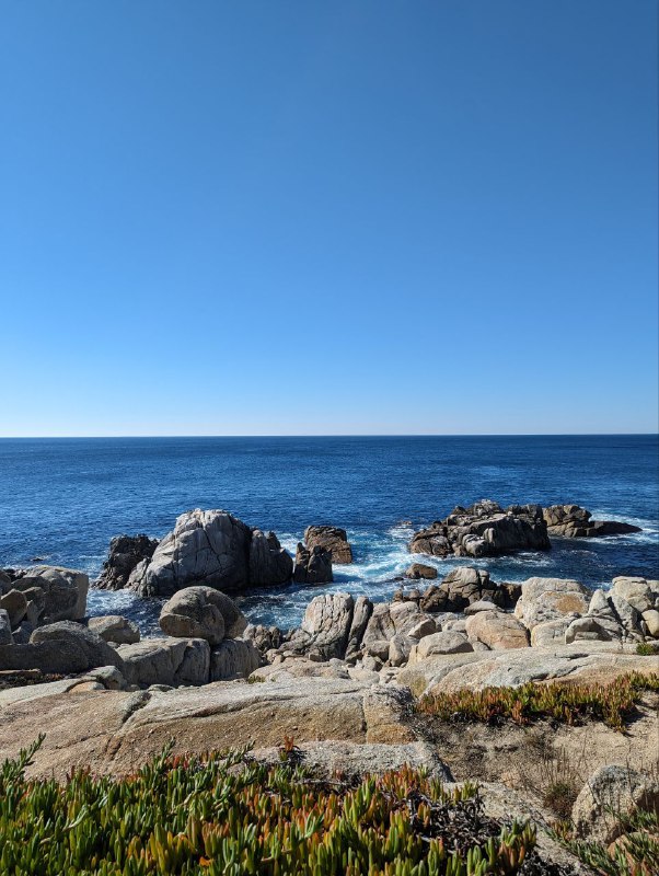 В субботу мы добрались до места ночёвки с палатками, но было дико холодно, градусов 6, хотя днём вполне себе тепло. Так как у меня тонкий спальник, в час ночи я ушел спать в машину, немного было лучше. Заводить не хотел, так как рядом были другие люди и не хотел им мешать спать.В целом пережил ночь, потом добрались до городка Carmel By The Sea, буквально минут 15 от места ночёвки, ближе к океану, это просто рай, излюбленное место местных богатых пенсионеров и мне очень понравились, супер спокойное, много больших деревьев, зелени и приятный европейский даунтаун, с огромным количеством кафешек. В общем очень уютный, но дорогой. Но по ощущениям намного приятнее Лос Анджелеса.Затем мы поехали уже в сторону сан франа, заехали сначала в долину, где стенфорд, Пало Альто, в общем где начинали все известные IT гиганты, такие как Google, Apple и тд, мы заехали в гости к уже бывшему коллеге, где он живёт с семьёй и провели пол дня у него.В целом кремниевая долина мне понравилась, по природе намного приятнее Лос Анджелеса, в последнем более пустынно.К вечеру после заката уже добрались в место нашего аирбнб, в сам город. Я пока мало что из самого города видел, снимать особо не мог, был за баранкой весь день, но завтра и другие дни буду изучать окрестности города передвигаясь без машины, на общественном транспорте и пешком, смогу больше рассказать показать.В субботу мы добрались до места ночёвки с палатками, но было дико холодно, градусов 6, хотя днём вполне себе тепло. Так как у меня тонкий спальник, в час ночи я ушел спать в машину, немного было лучше. Заводить не хотел, так как рядом были другие люди и не хотел им мешать спать.В целом пережил ночь, потом добрались до городка Carmel By The Sea, буквально минут 15 от места ночёвки, ближе к океану, это просто рай, излюбленное место местных богатых пенсионеров и мне очень понравились, супер спокойное, много больших деревьев, зелени и приятный европейский даунтаун, с огромным количеством кафешек. В общем очень уютный, но дорогой. Но по ощущениям намного приятнее Лос Анджелеса.Затем мы поехали уже в сторону сан франа, заехали сначала в долину, где стенфорд, Пало Альто, в общем где начинали все известные IT гиганты, такие как Google, Apple и тд, мы заехали в гости к уже бывшему коллеге, где он живёт с семьёй и провели пол дня у него.В целом кремниевая долина мне понравилась, по природе намного приятнее Лос Анджелеса, в последнем более пустынно.К вечеру после заката уже добрались в место нашего аирбнб, в сам город. Я пока мало что из самого города видел, снимать особо не мог, был за баранкой весь день, но завтра и другие дни буду изучать окрестности города передвигаясь без машины, на общественном транспорте и пешком, смогу больше рассказать показать.