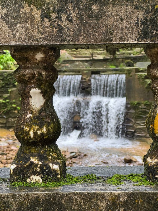 Всем привет! Коротенькое включение, ибо хорошие новости.В итоге виза в НЗ была одобрена, к тому же оказалось что дата начала плавающая, главное заехать в страну до середины декабря и с момента въезда она будет действительна еще 4 месяца. Изначально я планировал начать обучения 29 сентября, но из-за позднего ответа по визе не смог толком приготовиться и перенес дату начала обучения на начала ноября, так что спокойно смогу завершить дела тут, да и билет дешевле, в итоге лечу китайцами с одной пересадкой в Шанхае за 410$ (с выбором мест у аварийного выхода с extra space для ног, вышло примерно 530$)в одну сторону.Так же я в процессе съезда с квартиры, по традиции видео румтур будет после съезда, все крупные вещи были уже проданы, в понедельник переезжаю в AirBNB комнату в центре города.Всем добра и чуть фоточек из Тайваня/Таиланда.Всем привет! Коротенькое включение, ибо хорошие новости.В итоге виза в НЗ была одобрена, к тому же оказалось что дата начала плавающая, главное заехать в страну до середины декабря и с момента въезда она будет действительна еще 4 месяца. Изначально я планировал начать обучения 29 сентября, но из-за позднего ответа по визе не смог толком приготовиться и перенес дату начала обучения на начала ноября, так что спокойно смогу завершить дела тут, да и билет дешевле, в итоге лечу китайцами с одной пересадкой в Шанхае за 410$ (с выбором мест у аварийного выхода с extra space для ног, вышло примерно 530$)в одну сторону.Так же я в процессе съезда с квартиры, по традиции видео румтур будет после съезда, все крупные вещи были уже проданы, в понедельник переезжаю в AirBNB комнату в центре города.Всем добра и чуть фоточек из Тайваня/Таиланда.