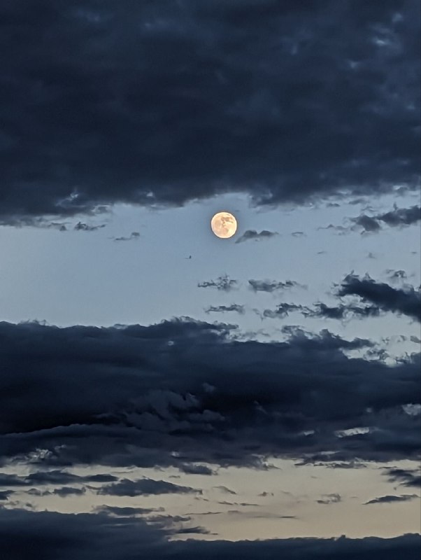 Сегодняшний день завершился стейками и кукурузой на гриле посреди пустыни, в национальном парке Big Bend, что в Техасе, практически на границе с Мексикой!Попытайтесь представить обстановку по моему описанию, так как темень кругом и камера не передаст в любом случае.32 градуса тепла, ты сидишь посреди пустыни, очень теплый воздух хоть как-то спасает тебя от духоты, небо затянуто облаками, через которые еле пробиваются лучи огромной луны, а тем временем на горизонте, освещая буквально на миг силуэты гор, сверкают молнии без грома, а ты утопаешь в своих мыслях...Сегодняшний день завершился стейками и кукурузой на гриле посреди пустыни, в национальном парке Big Bend, что в Техасе, практически на границе с Мексикой!Попытайтесь представить обстановку по моему описанию, так как темень кругом и камера не передаст в любом случае.32 градуса тепла, ты сидишь посреди пустыни, очень теплый воздух хоть как-то спасает тебя от духоты, небо затянуто облаками, через которые еле пробиваются лучи огромной луны, а тем временем на горизонте, освещая буквально на миг силуэты гор, сверкают молнии без грома, а ты утопаешь в своих мыслях...