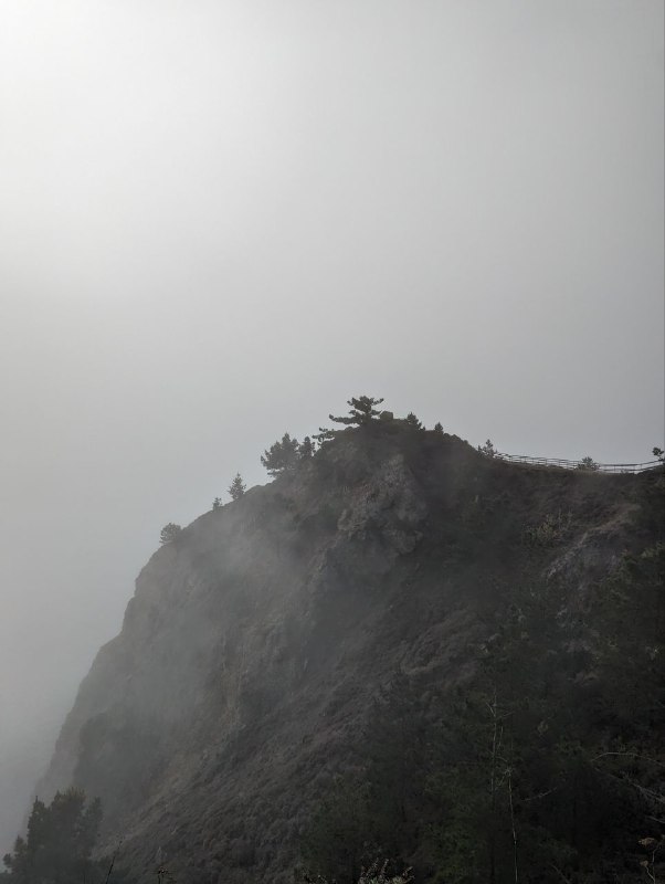 Я пропадал на пару дней, так как много времени проводил с другими людьми, а там как-то не до съёмок, больше общаешься.Но сегодня была поездка, на соседний остров, буквально проехать через мост золотые ворота и ты попадаешь в дикие заповедные места, где очень легко найти уютный и тихий уголок, а нам ещё больше повезло, этот остров был окутан туманом, хотя в городе было ясно, это примерно в часе езды на машине.В целом все обычно, залез на дерево, погулял по сайлент хилу, встретил койота!Завтра дорога обратно в ЛА.Итог по поездке: мне очень понравился Сан Франциско и окрестности, конечно в нем хватает своих неприятных районов, где больше преступности и бездомных, но в тоже время интереснее архитектура, город абсолютно без проблем приходится пешком, больше зелени, перепады высот создают красивые виды, и есть куча локальных уютных улочек и кварталов, где приятно находиться, например там есть итальянская улица, которая наполненного всем тематическим, от кафе и ресторанов до различных магазинов и просто уличных декораций, маленькая Европа. И  тут полно таких разных мест, в сравнении с ЛА это очень приятно. Ощущается как живет город. Намного лучше ситуация с общественным транспортом.А так повидался за эти дни с бывшими коллегами, кого-то из них тоже уволили, много говорил на английском, сходил в зоопарк, особо не снимал, по той же причине, больше говорил и был в моменте.Обновил резюме и готов к активной подготовке. Фух, думаю все!p.s. видео с койотм не поместилось, отправил в комментарияхЯ пропадал на пару дней, так как много времени проводил с другими людьми, а там как-то не до съёмок, больше общаешься.Но сегодня была поездка, на соседний остров, буквально проехать через мост золотые ворота и ты попадаешь в дикие заповедные места, где очень легко найти уютный и тихий уголок, а нам ещё больше повезло, этот остров был окутан туманом, хотя в городе было ясно, это примерно в часе езды на машине.В целом все обычно, залез на дерево, погулял по сайлент хилу, встретил койота!Завтра дорога обратно в ЛА.Итог по поездке: мне очень понравился Сан Франциско и окрестности, конечно в нем хватает своих неприятных районов, где больше преступности и бездомных, но в тоже время интереснее архитектура, город абсолютно без проблем приходится пешком, больше зелени, перепады высот создают красивые виды, и есть куча локальных уютных улочек и кварталов, где приятно находиться, например там есть итальянская улица, которая наполненного всем тематическим, от кафе и ресторанов до различных магазинов и просто уличных декораций, маленькая Европа. И  тут полно таких разных мест, в сравнении с ЛА это очень приятно. Ощущается как живет город. Намного лучше ситуация с общественным транспортом.А так повидался за эти дни с бывшими коллегами, кого-то из них тоже уволили, много говорил на английском, сходил в зоопарк, особо не снимал, по той же причине, больше говорил и был в моменте.Обновил резюме и готов к активной подготовке. Фух, думаю все!p.s. видео с койотм не поместилось, отправил в комментариях