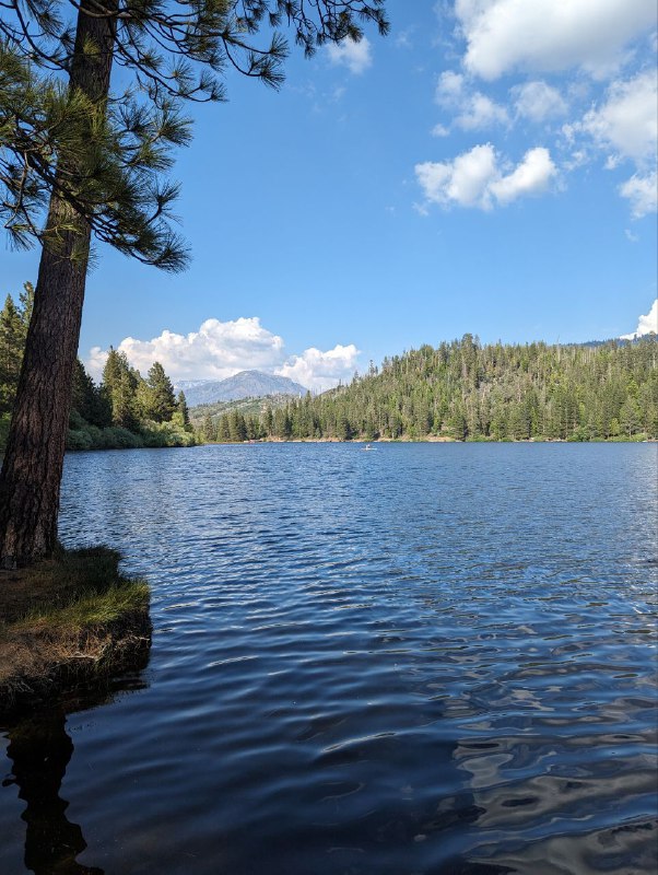 Я вернулся в цивилизацию, в общем в пятницу вечером взяв машину мы ехали 5 часов до места ночёвки, кемп лагерь, где мы поставили палатки и провели ночь, с утра сделали завтрак на газовой горелке, неспеша, устроили русское барбекю, обжаривая тонкие куски мяса на жире от бекона, прожаренного предварительно, исключительно с целью получить жир для жарки)Вообще это было не лучшее место для кемпа в плане видов, так как мы опомнились только за пару часов до выезда и начали искать место куда конкретно едем, и оказалось что все крутые места забиты, а тут куча своих нюансов, где можно ставить палатки где нет и ТД, так что поездка была тестовая понять нюансы, в следующий раз будем грамотнее проходить.Несмотря на такую неподготовленность это абсолютно не помешало нам поездить по паркам, увидеть древние огромные секвойи, посмотрите просто на масштаб, приблизьте восьмую фотку с парковки, там есть люди и они такие мелкие, так же поплавали в озере.Лимит текста заканчивается. Будет ещё пост с видео и больше эмоций!Я вернулся в цивилизацию, в общем в пятницу вечером взяв машину мы ехали 5 часов до места ночёвки, кемп лагерь, где мы поставили палатки и провели ночь, с утра сделали завтрак на газовой горелке, неспеша, устроили русское барбекю, обжаривая тонкие куски мяса на жире от бекона, прожаренного предварительно, исключительно с целью получить жир для жарки)Вообще это было не лучшее место для кемпа в плане видов, так как мы опомнились только за пару часов до выезда и начали искать место куда конкретно едем, и оказалось что все крутые места забиты, а тут куча своих нюансов, где можно ставить палатки где нет и ТД, так что поездка была тестовая понять нюансы, в следующий раз будем грамотнее проходить.Несмотря на такую неподготовленность это абсолютно не помешало нам поездить по паркам, увидеть древние огромные секвойи, посмотрите просто на масштаб, приблизьте восьмую фотку с парковки, там есть люди и они такие мелкие, так же поплавали в озере.Лимит текста заканчивается. Будет ещё пост с видео и больше эмоций!