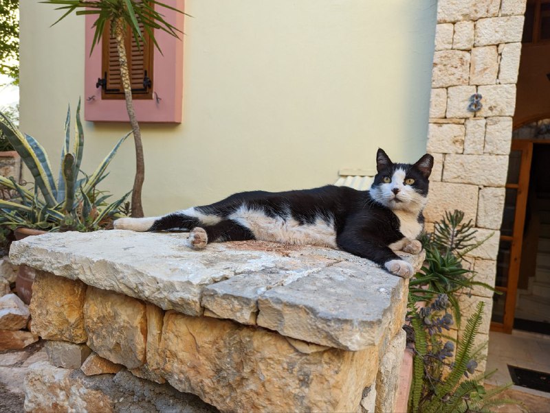 Настроения нет ничего писать, поэтому только такНастроения нет ничего писать, поэтому только так