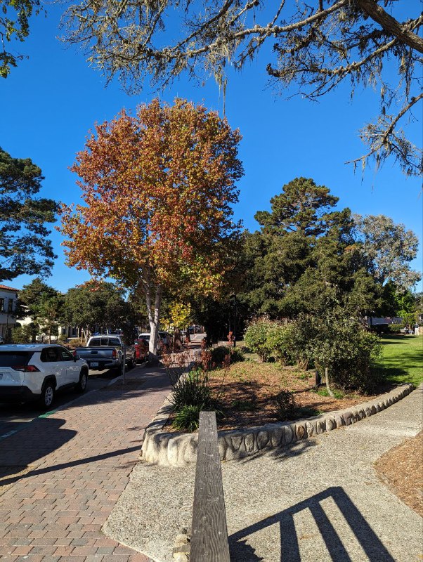 В субботу мы добрались до места ночёвки с палатками, но было дико холодно, градусов 6, хотя днём вполне себе тепло. Так как у меня тонкий спальник, в час ночи я ушел спать в машину, немного было лучше. Заводить не хотел, так как рядом были другие люди и не хотел им мешать спать.В целом пережил ночь, потом добрались до городка Carmel By The Sea, буквально минут 15 от места ночёвки, ближе к океану, это просто рай, излюбленное место местных богатых пенсионеров и мне очень понравились, супер спокойное, много больших деревьев, зелени и приятный европейский даунтаун, с огромным количеством кафешек. В общем очень уютный, но дорогой. Но по ощущениям намного приятнее Лос Анджелеса.Затем мы поехали уже в сторону сан франа, заехали сначала в долину, где стенфорд, Пало Альто, в общем где начинали все известные IT гиганты, такие как Google, Apple и тд, мы заехали в гости к уже бывшему коллеге, где он живёт с семьёй и провели пол дня у него.В целом кремниевая долина мне понравилась, по природе намного приятнее Лос Анджелеса, в последнем более пустынно.К вечеру после заката уже добрались в место нашего аирбнб, в сам город. Я пока мало что из самого города видел, снимать особо не мог, был за баранкой весь день, но завтра и другие дни буду изучать окрестности города передвигаясь без машины, на общественном транспорте и пешком, смогу больше рассказать показать.В субботу мы добрались до места ночёвки с палатками, но было дико холодно, градусов 6, хотя днём вполне себе тепло. Так как у меня тонкий спальник, в час ночи я ушел спать в машину, немного было лучше. Заводить не хотел, так как рядом были другие люди и не хотел им мешать спать.В целом пережил ночь, потом добрались до городка Carmel By The Sea, буквально минут 15 от места ночёвки, ближе к океану, это просто рай, излюбленное место местных богатых пенсионеров и мне очень понравились, супер спокойное, много больших деревьев, зелени и приятный европейский даунтаун, с огромным количеством кафешек. В общем очень уютный, но дорогой. Но по ощущениям намного приятнее Лос Анджелеса.Затем мы поехали уже в сторону сан франа, заехали сначала в долину, где стенфорд, Пало Альто, в общем где начинали все известные IT гиганты, такие как Google, Apple и тд, мы заехали в гости к уже бывшему коллеге, где он живёт с семьёй и провели пол дня у него.В целом кремниевая долина мне понравилась, по природе намного приятнее Лос Анджелеса, в последнем более пустынно.К вечеру после заката уже добрались в место нашего аирбнб, в сам город. Я пока мало что из самого города видел, снимать особо не мог, был за баранкой весь день, но завтра и другие дни буду изучать окрестности города передвигаясь без машины, на общественном транспорте и пешком, смогу больше рассказать показать.