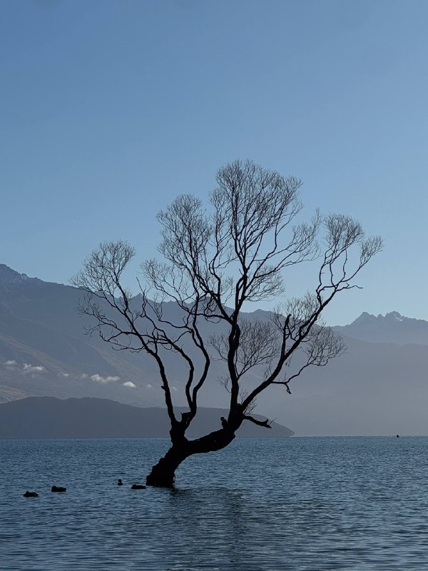 Всем привет!Недавно я съездил на Южный остров Новой Зеландии, как и обещал раньше. Но есть один нюанс: в этот канал я практически ничего не публиковал.Все сторис я выкладывал в свой личный Telegram-профиль, поэтому большинство подписчиков канала их, скорее всего, даже не видели. Видимость таких сторис довольно ограниченная.Поэтому, если вам интересно посмотреть материалы с поездки на русском языке, загляните в мой профиль, там я сохранил все сторис с Южного острова в актуальном.Сейчас я постепенно начинаю разбирать огромное количество видео и фотографий из путешествия. Часть контента уже появилась в Instagram: там я публиковал небольшие интервью с людьми, которых встречал по пути. Пока это только сокращённые версии — Instagram сильно ограничивает длину видео. Полные интервью позже появятся на YouTube в большом фильме.Так что если хочется посмотреть что-то уже сейчас — можете заглянуть в Instagram. Если комфортнее читать и смотреть на русском — оставайтесь здесь, постепенно начну выкладывать материалы и в этот канал.На будущее хочу немного разделить площадки:• Telegram — в основном контент на русском языке.• Instagram — в основном контент на английском языке.Для меня это ещё и способ постоянно практиковать английский.И да, если в следующих поездках буду активно публиковать сторис в Telegram, то постараюсь делать это уже от имени канала, чтобы их видели все подписчики.Спасибо, что остаётесь здесь. Скоро начну делиться материалами с Южного острова более активно 🙂Всем привет!Недавно я съездил на Южный остров Новой Зеландии, как и обещал раньше. Но есть один нюанс: в этот канал я практически ничего не публиковал.Все сторис я выкладывал в свой личный Telegram-профиль, поэтому большинство подписчиков канала их, скорее всего, даже не видели. Видимость таких сторис довольно ограниченная.Поэтому, если вам интересно посмотреть материалы с поездки на русском языке, загляните в мой профиль, там я сохранил все сторис с Южного острова в актуальном.Сейчас я постепенно начинаю разбирать огромное количество видео и фотографий из путешествия. Часть контента уже появилась в Instagram: там я публиковал небольшие интервью с людьми, которых встречал по пути. Пока это только сокращённые версии — Instagram сильно ограничивает длину видео. Полные интервью позже появятся на YouTube в большом фильме.Так что если хочется посмотреть что-то уже сейчас — можете заглянуть в Instagram. Если комфортнее читать и смотреть на русском — оставайтесь здесь, постепенно начну выкладывать материалы и в этот канал.На будущее хочу немного разделить площадки:• Telegram — в основном контент на русском языке.• Instagram — в основном контент на английском языке.Для меня это ещё и способ постоянно практиковать английский.И да, если в следующих поездках буду активно публиковать сторис в Telegram, то постараюсь делать это уже от имени канала, чтобы их видели все подписчики.Спасибо, что остаётесь здесь. Скоро начну делиться материалами с Южного острова более активно 🙂
