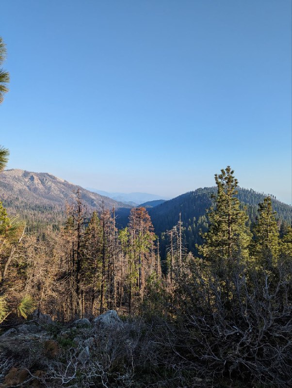 Я вернулся в цивилизацию, в общем в пятницу вечером взяв машину мы ехали 5 часов до места ночёвки, кемп лагерь, где мы поставили палатки и провели ночь, с утра сделали завтрак на газовой горелке, неспеша, устроили русское барбекю, обжаривая тонкие куски мяса на жире от бекона, прожаренного предварительно, исключительно с целью получить жир для жарки)Вообще это было не лучшее место для кемпа в плане видов, так как мы опомнились только за пару часов до выезда и начали искать место куда конкретно едем, и оказалось что все крутые места забиты, а тут куча своих нюансов, где можно ставить палатки где нет и ТД, так что поездка была тестовая понять нюансы, в следующий раз будем грамотнее проходить.Несмотря на такую неподготовленность это абсолютно не помешало нам поездить по паркам, увидеть древние огромные секвойи, посмотрите просто на масштаб, приблизьте восьмую фотку с парковки, там есть люди и они такие мелкие, так же поплавали в озере.Лимит текста заканчивается. Будет ещё пост с видео и больше эмоций!Я вернулся в цивилизацию, в общем в пятницу вечером взяв машину мы ехали 5 часов до места ночёвки, кемп лагерь, где мы поставили палатки и провели ночь, с утра сделали завтрак на газовой горелке, неспеша, устроили русское барбекю, обжаривая тонкие куски мяса на жире от бекона, прожаренного предварительно, исключительно с целью получить жир для жарки)Вообще это было не лучшее место для кемпа в плане видов, так как мы опомнились только за пару часов до выезда и начали искать место куда конкретно едем, и оказалось что все крутые места забиты, а тут куча своих нюансов, где можно ставить палатки где нет и ТД, так что поездка была тестовая понять нюансы, в следующий раз будем грамотнее проходить.Несмотря на такую неподготовленность это абсолютно не помешало нам поездить по паркам, увидеть древние огромные секвойи, посмотрите просто на масштаб, приблизьте восьмую фотку с парковки, там есть люди и они такие мелкие, так же поплавали в озере.Лимит текста заканчивается. Будет ещё пост с видео и больше эмоций!