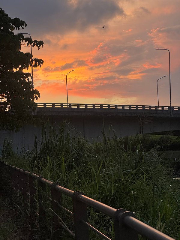 Всем привет, довольно давно не было включений!Расскзываю что случилось, работа в JB идет размеренно и потихоньку, прошло практически три месяца, прошел испыталку, не выгнали и на том спасибо. Так же как упоминал ранее, одновременно делал еще подработку, которая подходит к концу, до октября все должно быть готово, и после будет по проще со свободным временем, а то полседние 3 месяца были довольно плотные.А Сейчас происходит событие которое бывает раз в жизни, как мне кажется. Большая компания моих друзей из России собралась на совместный отдых в Таиланде, 10 дней, 10 человек, большая вилла с бассейном, что оказалось очень выгодно, когда делишь счет на всех. В данный момент они вероятно находятся на пересадку в Шанхае, а я сижу в лобби отеля в котором провел пару ночей и пишу этот текст, и жду пока мне подвезут мой байк и направлюсь постираться и после на виллу!А теперь к самому интересному, дальнейшие планы. Опьяненный приятным опытом учебы в языковой школе на Тайване, я решил исполнить свою давнюю 