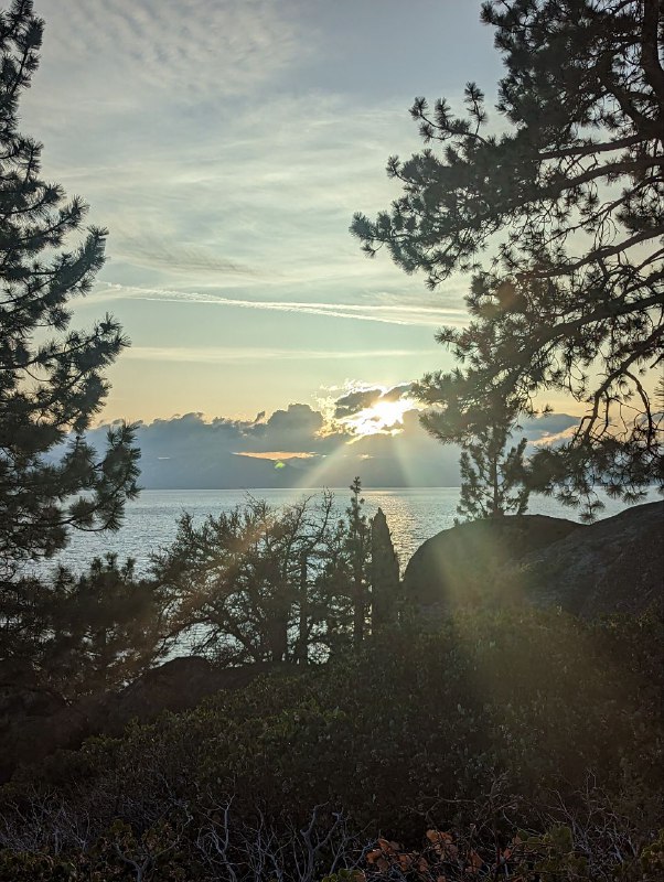 На следующий день мы поехали к красотам, виды так часто менялись, что не успевали фотографировать. Под вечер добрались к озеру Tahoe, сделали кофе на природе, используя ручную кофемолку, аэропресс и газовую горелку, а после заката уже направились к новому ночлегу, это был мини дом, было забавно)На следующий день мы поехали к красотам, виды так часто менялись, что не успевали фотографировать. Под вечер добрались к озеру Tahoe, сделали кофе на природе, используя ручную кофемолку, аэропресс и газовую горелку, а после заката уже направились к новому ночлегу, это был мини дом, было забавно)