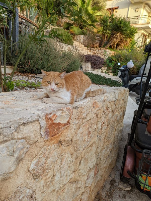 Добрый вечер, прерву молчание.Эти дни со среды были мукой как и в марте, когда ты судорожно читаешь целыми днями новости, смотришь новостной Ютюб и накручиваешь себя ещё больше.Но вот два дня как перестал смотреть на Ютюбе новостные видео, а читаю только текстовые короткие новости на медузе, чтобы быть в курсе, это помогает, не так напряжен и вернулся к работе.Хотел всем напомнить, что с 5 октября открывается прием заявок на лотерею гринкард, так что призываю участвовать всех тех, кто не выбрал что-то альтернативное. Я скину ссылки на инструкции после октрытия приема заявок. В этом году не нужно будет даже иметь загран паспорт, для участия.На этом пока все, желаю всем спокойствия и меньше тревожности.Добрый вечер, прерву молчание.Эти дни со среды были мукой как и в марте, когда ты судорожно читаешь целыми днями новости, смотришь новостной Ютюб и накручиваешь себя ещё больше.Но вот два дня как перестал смотреть на Ютюбе новостные видео, а читаю только текстовые короткие новости на медузе, чтобы быть в курсе, это помогает, не так напряжен и вернулся к работе.Хотел всем напомнить, что с 5 октября открывается прием заявок на лотерею гринкард, так что призываю участвовать всех тех, кто не выбрал что-то альтернативное. Я скину ссылки на инструкции после октрытия приема заявок. В этом году не нужно будет даже иметь загран паспорт, для участия.На этом пока все, желаю всем спокойствия и меньше тревожности.