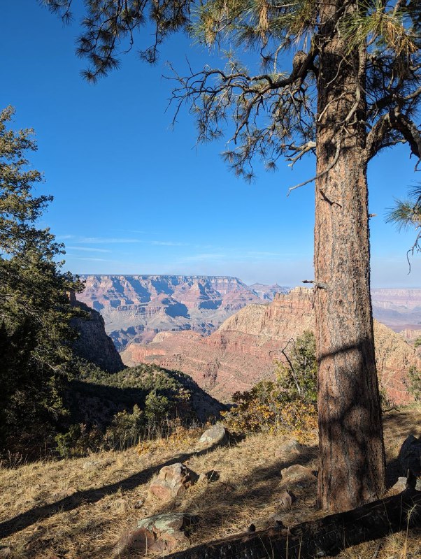 Всем привет! В общем от меня давно не было вестей, были различные периоды, которые чередовались. Супер продуктивные с хорошим настроем и наоборот какие-то моменты когда я был поникшим. Но сейчас вроде прихожу в себя и к балансу, буду стараться рассказывать больше про житуху-бытовуху!В общем на прошлой неделе я взял отпуск, ко мне приехал техасский брат с женой и мы поехали в трип на машине на гранд каньон. Все было отлично, не считая момента когда я чуть задремал на пустой дороге в пустыне и выехал на встречку, потом сразу же поменялись с братом.Погода в это время там тоже огонь, не жарко, тепло, можно гулять и гулять. В понедельник мы проехали от ЛА до деревушки Cottonwood, что в Аризоне и там же заночевали, а с утра двинули уже непосредственно  на гранд каньон. Фоток из деревушки и из airbnb дома нет, но было супер уютно, пожарили мясо на гриле и кукурузку, да и сама деревушка супер уютная, спокойная, при это в ней есть большие магазины и тд.Сам гранд каньон для нас как для туристов представлен в виде большого количества обзрных площадок, между которыми ты перемещаешься в течении дня на машине, есть еще музеи, но мы были ограничены во времени. Встретив закат на каньоне, мы по полной насладились звездным небом и поехали дальше, в сторону Лас Вегаса, продолжение будет завтра!Что-то косяк с видео был, добавил в комменты.Всем привет! В общем от меня давно не было вестей, были различные периоды, которые чередовались. Супер продуктивные с хорошим настроем и наоборот какие-то моменты когда я был поникшим. Но сейчас вроде прихожу в себя и к балансу, буду стараться рассказывать больше про житуху-бытовуху!В общем на прошлой неделе я взял отпуск, ко мне приехал техасский брат с женой и мы поехали в трип на машине на гранд каньон. Все было отлично, не считая момента когда я чуть задремал на пустой дороге в пустыне и выехал на встречку, потом сразу же поменялись с братом.Погода в это время там тоже огонь, не жарко, тепло, можно гулять и гулять. В понедельник мы проехали от ЛА до деревушки Cottonwood, что в Аризоне и там же заночевали, а с утра двинули уже непосредственно  на гранд каньон. Фоток из деревушки и из airbnb дома нет, но было супер уютно, пожарили мясо на гриле и кукурузку, да и сама деревушка супер уютная, спокойная, при это в ней есть большие магазины и тд.Сам гранд каньон для нас как для туристов представлен в виде большого количества обзрных площадок, между которыми ты перемещаешься в течении дня на машине, есть еще музеи, но мы были ограничены во времени. Встретив закат на каньоне, мы по полной насладились звездным небом и поехали дальше, в сторону Лас Вегаса, продолжение будет завтра!Что-то косяк с видео был, добавил в комменты.