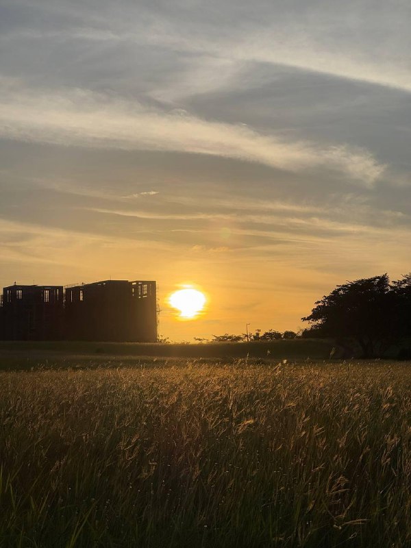 Немного кадров в ленту.В кратце текущая повестка:Учеба, из 3х месяцев  китайского я посетил без пропусков чуть больше 2х, затем перестал. Последний раз сходил в понедельник на этой неделе, а то уже учитель спрашивал когда я вернусь, хотя предупреждал что пока не знаю вернусь ли. Я вероятнее пойду снова на тот же уровень осенью или на следующий уровень если повторю весь материал первого семестра самостоятельно за лето.Утомился от дейтинг приложения, удалил, пожалел что пропустил один раз учебу, потом пошло по накатанной, потому что после пропуска один раз, ты думаешь что будешь уже обузой не зная новый материал и будешь тянуть всех вниз, да и стало очень жарко, уже по 33 днем на улице. В идеале к осени переехать, но много сомнений на этот повод, тут мне комфортно.Начал парттайм подработку, пока процесс оформления на фулл тайм еще в процессе, надеюсь успею с подработкой к тому времени.Всем хорошего лета! Жара это тяжело, но видимо из-за нее какие-то неверояино объемные облака образуются, гуляю, потею но наслаждаюсь!Немного кадров в ленту.В кратце текущая повестка:Учеба, из 3х месяцев  китайского я посетил без пропусков чуть больше 2х, затем перестал. Последний раз сходил в понедельник на этой неделе, а то уже учитель спрашивал когда я вернусь, хотя предупреждал что пока не знаю вернусь ли. Я вероятнее пойду снова на тот же уровень осенью или на следующий уровень если повторю весь материал первого семестра самостоятельно за лето.Утомился от дейтинг приложения, удалил, пожалел что пропустил один раз учебу, потом пошло по накатанной, потому что после пропуска один раз, ты думаешь что будешь уже обузой не зная новый материал и будешь тянуть всех вниз, да и стало очень жарко, уже по 33 днем на улице. В идеале к осени переехать, но много сомнений на этот повод, тут мне комфортно.Начал парттайм подработку, пока процесс оформления на фулл тайм еще в процессе, надеюсь успею с подработкой к тому времени.Всем хорошего лета! Жара это тяжело, но видимо из-за нее какие-то неверояино объемные облака образуются, гуляю, потею но наслаждаюсь!