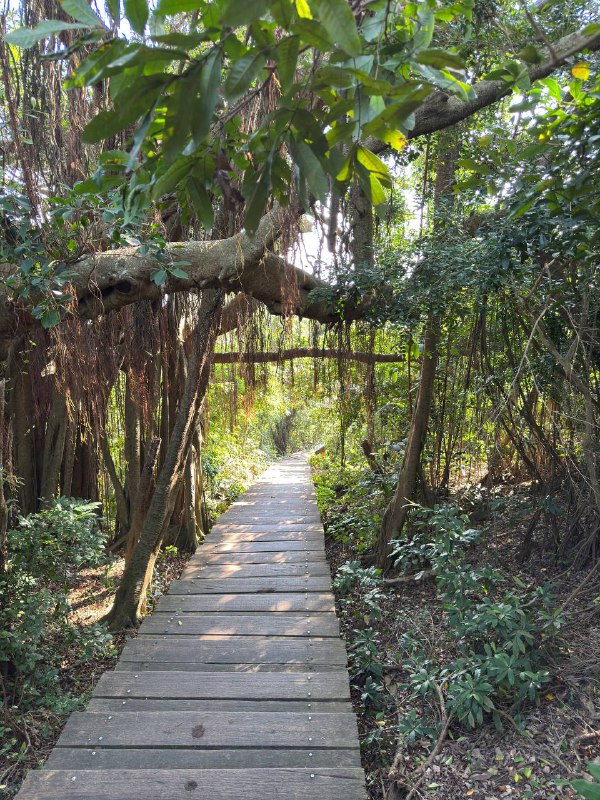 Сходил сегодня с утра погулять на горную тропу рядом с городом, в целом рассказал все в видео, что-то меня прорвало там, желаю вам терпения и прошу прощения)Сходил сегодня с утра погулять на горную тропу рядом с городом, в целом рассказал все в видео, что-то меня прорвало там, желаю вам терпения и прошу прощения)