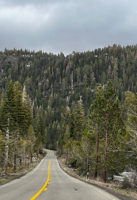 На следующий день мы поехали к красотам, виды так часто менялись, что не успевали фотографировать. Под вечер добрались к озеру Tahoe, сделали кофе на природе, используя ручную кофемолку, аэропресс и газовую горелку, а после заката уже направились к новому ночлегу, это был мини дом, было забавно)На следующий день мы поехали к красотам, виды так часто менялись, что не успевали фотографировать. Под вечер добрались к озеру Tahoe, сделали кофе на природе, используя ручную кофемолку, аэропресс и газовую горелку, а после заката уже направились к новому ночлегу, это был мини дом, было забавно)