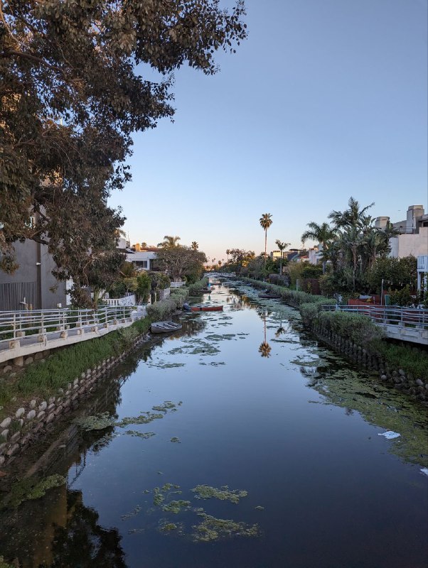 Йо, всем здорово, сегодня была небольшая прогулка по венису, это очень необычное место в котором пахнет постоянно травой и обитает много бездомных, слышал что присутствует криминал, но мелкий, могут вскрыть машину, но разбоя нет и ощущаешь себя спокойно и безопасно.Йо, всем здорово, сегодня была небольшая прогулка по венису, это очень необычное место в котором пахнет постоянно травой и обитает много бездомных, слышал что присутствует криминал, но мелкий, могут вскрыть машину, но разбоя нет и ощущаешь себя спокойно и безопасно.
