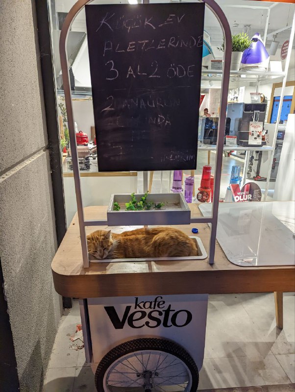 Маленький отчёт первого дня.Я решил добираться из аэропорта общественным транспортом, не то чтобы очень нужно было экономить, но подумал будет интересный опыт, к тому же у меня была на руках Istanbul Kart с балансом.Путь был долгий и с пересадками, но везде оплачивал одним проездным, очень удобно.1) На автобусе 1:202) На пароме мне кажется минут 30.Это самая клевая часть пути.3) И ещё столько же занял трамвай и остаток пути пешком до жилья, которое снял на аирбнб.К моменту когда доехал, я настолько устал, что уже хотел обратно в привычный не суетной Инеш или Батуми, которые стал привычным. Так же выкинуть весь лишний хлам, чтобы передвигаться только с одним рюкзаком, как в старые добрые, может к этому вернусь на днях.Я помылся, отдохнул и отпустило и пошел в город, гулять и есть.Маленький отчёт первого дня.Я решил добираться из аэропорта общественным транспортом, не то чтобы очень нужно было экономить, но подумал будет интересный опыт, к тому же у меня была на руках Istanbul Kart с балансом.Путь был долгий и с пересадками, но везде оплачивал одним проездным, очень удобно.1) На автобусе 1:202) На пароме мне кажется минут 30.Это самая клевая часть пути.3) И ещё столько же занял трамвай и остаток пути пешком до жилья, которое снял на аирбнб.К моменту когда доехал, я настолько устал, что уже хотел обратно в привычный не суетной Инеш или Батуми, которые стал привычным. Так же выкинуть весь лишний хлам, чтобы передвигаться только с одним рюкзаком, как в старые добрые, может к этому вернусь на днях.Я помылся, отдохнул и отпустило и пошел в город, гулять и есть.