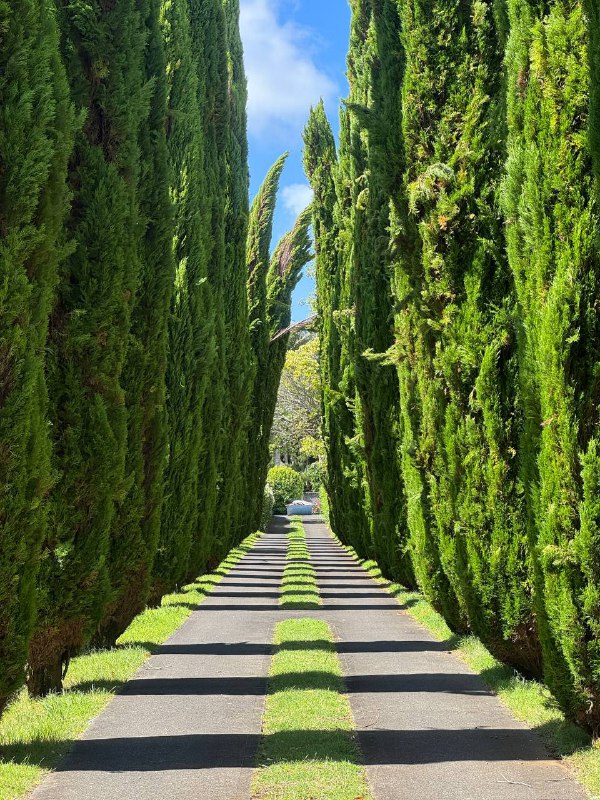 Всем доброго дня, хух, нууу, прозошло много всего как и принято решений...В общем, я ушел из JB и решил остаться в Новой Зеландии!К концу первого месяца нахождения в НЗ я начинал сгорать от одновременной учебы и фулл тайм работы. Но в тоже время ко мне пришло четкое осознание что мне тут нравится и я хотел бы остаться. Поэтому изучив варианты, обсудив с боссом я убедился, что остаться тут продолжая работать на JB невозможно юридически, компания на это не пойдет. Поэтому я принял решение и ушел из компании. Но я это сделал когда спланировал план как тут остаться, что делать дальше.Начнем с того, почему мне тут нравится, первое и самое важно это английский язык везде, я не ощущаю себя бытовым инвалидом, комфортно получать услуги и общаться каждый день. Погода, это мой рай, не холодно, не жарко, влажно, что плюс для моей проблемной кожи. А так же я нашел варианты как легально остаться и довольно быстро получить резиденство.В первую очередь мне нужно выиграть чуть времени и продлить мое легальное пребываение тут. Поэтому я продлил свое обучение еще на 6 месяцев и уже подался на студенческую визу, что даст мне +6 месяцев с конца февраля и возможность работать 25 часов в неделю, пока буду приводить в исполнение мой план с резиденством.Моя цель это сдать IETLS на 6.5, чтобы можно было податься на Straight to Residence визу, для которой так же нужно будет найти оффер от местного работодателя из аккредитованного списка компаний с необходимым порогом по ЗП. Для подачи на визу достаточно оффера, не самой работы, а после получения визы ты не обязан даже работать на этого работодаеля. После получения этой визы через 2 года ПМЖ, а через еще 3 паспорт, то есть суммарно от момента получения визы можно получить паспорт спустя 5 лет.И самое главное весь этот план идеально вписывается в мой план про получения вышки, потому что я никогда не рассматривал получени вышки в англоязычных странах, потому что это нереально дорого, ценник для иностранных студентов в 5-6 раз выше чем для местных и тут нам на помощь приходит резиденство, по которому можно учиться по ценнику для местных, вуаля.Так что тайминг такой, активно продолжаю учиться, жить жизнь и сдаю экзамен в конце февраля надеюсь сразу на нужный мне бал к моменту когда получу студентческую визу и право на работу. И после этого сразу иду штурмовать местные IT компании в поисках оффера для подачи на Straight to Residence визу.Так что план капкан. За следующий год активно подтяну язык, получу резиденство в безопасной стране, пойду учиться в универ что улучшит язык еще лучше и позволит влиться в общество и после завершения бакалавара чуть времени спустя смогу получить довольно сильный паспорт. Сейчас активно ищу нормальное жилье на долгий срок, жить в отеле некомфортно, нужно начинать готовить, чтобы не тратить все накопления.Текуших накоплений хватит на 2 года обычной или 3 года скромной жизни в НЗ. Но я все еще планирую подрабатывать на халтурках part-time, в идеале чтобы не трогать накопления вообще.Так что как-то так. Живем и работаем, всем пис. P.S. Ну и конечно же по традиции прикреплю фотчки и склейку видео, там в предпорследнем видео я случайно заснял нудистсткий пляж в момент когда еще не осознавал что это надистский пляж ;)Всем доброго дня, хух, нууу, прозошло много всего как и принято решений...В общем, я ушел из JB и решил остаться в Новой Зеландии!К концу первого месяца нахождения в НЗ я начинал сгорать от одновременной учебы и фулл тайм работы. Но в тоже время ко мне пришло четкое осознание что мне тут нравится и я хотел бы остаться. Поэтому изучив варианты, обсудив с боссом я убедился, что остаться тут продолжая работать на JB невозможно юридически, компания на это не пойдет. Поэтому я принял решение и ушел из компании. Но я это сделал когда спланировал план как тут остаться, что делать дальше.Начнем с того, почему мне тут нравится, первое и самое важно это английский язык везде, я не ощущаю себя бытовым инвалидом, комфортно получать услуги и общаться каждый день. Погода, это мой рай, не холодно, не жарко, влажно, что плюс для моей проблемной кожи. А так же я нашел варианты как легально остаться и довольно быстро получить резиденство.В первую очередь мне нужно выиграть чуть времени и продлить мое легальное пребываение тут. Поэтому я продлил свое обучение еще на 6 месяцев и уже подался на студенческую визу, что даст мне +6 месяцев с конца февраля и возможность работать 25 часов в неделю, пока буду приводить в исполнение мой план с резиденством.Моя цель это сдать IETLS на 6.5, чтобы можно было податься на Straight to Residence визу, для которой так же нужно будет найти оффер от местного работодателя из аккредитованного списка компаний с необходимым порогом по ЗП. Для подачи на визу достаточно оффера, не самой работы, а после получения визы ты не обязан даже работать на этого работодаеля. После получения этой визы через 2 года ПМЖ, а через еще 3 паспорт, то есть суммарно от момента получения визы можно получить паспорт спустя 5 лет.И самое главное весь этот план идеально вписывается в мой план про получения вышки, потому что я никогда не рассматривал получени вышки в англоязычных странах, потому что это нереально дорого, ценник для иностранных студентов в 5-6 раз выше чем для местных и тут нам на помощь приходит резиденство, по которому можно учиться по ценнику для местных, вуаля.Так что тайминг такой, активно продолжаю учиться, жить жизнь и сдаю экзамен в конце февраля надеюсь сразу на нужный мне бал к моменту когда получу студентческую визу и право на работу. И после этого сразу иду штурмовать местные IT компании в поисках оффера для подачи на Straight to Residence визу.Так что план капкан. За следующий год активно подтяну язык, получу резиденство в безопасной стране, пойду учиться в универ что улучшит язык еще лучше и позволит влиться в общество и после завершения бакалавара чуть времени спустя смогу получить довольно сильный паспорт. Сейчас активно ищу нормальное жилье на долгий срок, жить в отеле некомфортно, нужно начинать готовить, чтобы не тратить все накопления.Текуших накоплений хватит на 2 года обычной или 3 года скромной жизни в НЗ. Но я все еще планирую подрабатывать на халтурках part-time, в идеале чтобы не трогать накопления вообще.Так что как-то так. Живем и работаем, всем пис. P.S. Ну и конечно же по традиции прикреплю фотчки и склейку видео, там в предпорследнем видео я случайно заснял нудистсткий пляж в момент когда еще не осознавал что это надистский пляж ;)