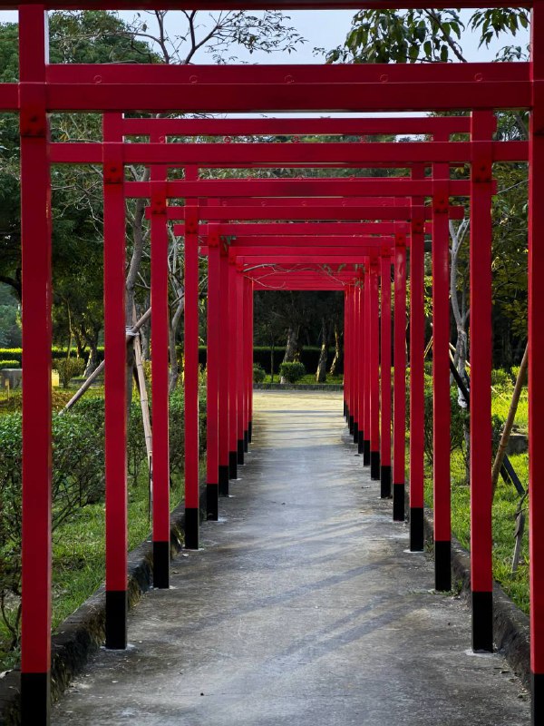 Всем привет, небольшой отчет об активной социализации!Когда я только прилетел на Тайвань и был в Тайбэе, в местном ру чате собрались с ребятами погулять, четверо по итогу нас было, до отъезда в Гаосюн гуляли как раз этой компанией +-. После были неудачные попытки собраться на шашлыки к одному участнику новоиспеченной группы, у нее муж местный и они живут в доме.И вот спустя несколько месяцев пришлось взять инициативу и запушить всех, чтобы наконец собрались, и это удалось, вчера к обеду на скоростном поезде поехал пару станций на север, в город Цзяи, туда же двое ребят из Тайбэя подъехали примерно к одному времени, откуда нас забрала Надя, с мужем Исяном на авто. Ну что, по итогу пожарили мясо, выпили, поболтали, соседи местные с детьми приходили к столу, компания вышла большая. Отдельное удовольствие наблюдать за детьми которых родители заставляют говорить на Английском))Тайбэйские ребята уехали вечером того же дня, а я решил остаться с ночовкой, потому что хотели погулять еще в городе на следующий день.У Исяна на Гусиной ферме произошло ЧП, поэтому не смог он к нам присоединиться, и нам пришлось ехать автобусами, пешком и тд, в общем погуляли, поели, устали и уже оттуда я поехал на станцию скоростного поезда, а Надя в свою деревню. В целом было весело и Исян забавный мужик, сам учит Русский, хоть и на ломанном но все же говорит, он в общем как вы могли догадаться, потомственный Гусевод, у него крупные гусиные фермы. А еще у них клевая ящерка по имени Люся)Фото мало, и шашлык грустный на фото, уже под конец решил щелкнуть, простите)Всем привет, небольшой отчет об активной социализации!Когда я только прилетел на Тайвань и был в Тайбэе, в местном ру чате собрались с ребятами погулять, четверо по итогу нас было, до отъезда в Гаосюн гуляли как раз этой компанией +-. После были неудачные попытки собраться на шашлыки к одному участнику новоиспеченной группы, у нее муж местный и они живут в доме.И вот спустя несколько месяцев пришлось взять инициативу и запушить всех, чтобы наконец собрались, и это удалось, вчера к обеду на скоростном поезде поехал пару станций на север, в город Цзяи, туда же двое ребят из Тайбэя подъехали примерно к одному времени, откуда нас забрала Надя, с мужем Исяном на авто. Ну что, по итогу пожарили мясо, выпили, поболтали, соседи местные с детьми приходили к столу, компания вышла большая. Отдельное удовольствие наблюдать за детьми которых родители заставляют говорить на Английском))Тайбэйские ребята уехали вечером того же дня, а я решил остаться с ночовкой, потому что хотели погулять еще в городе на следующий день.У Исяна на Гусиной ферме произошло ЧП, поэтому не смог он к нам присоединиться, и нам пришлось ехать автобусами, пешком и тд, в общем погуляли, поели, устали и уже оттуда я поехал на станцию скоростного поезда, а Надя в свою деревню. В целом было весело и Исян забавный мужик, сам учит Русский, хоть и на ломанном но все же говорит, он в общем как вы могли догадаться, потомственный Гусевод, у него крупные гусиные фермы. А еще у них клевая ящерка по имени Люся)Фото мало, и шашлык грустный на фото, уже под конец решил щелкнуть, простите)