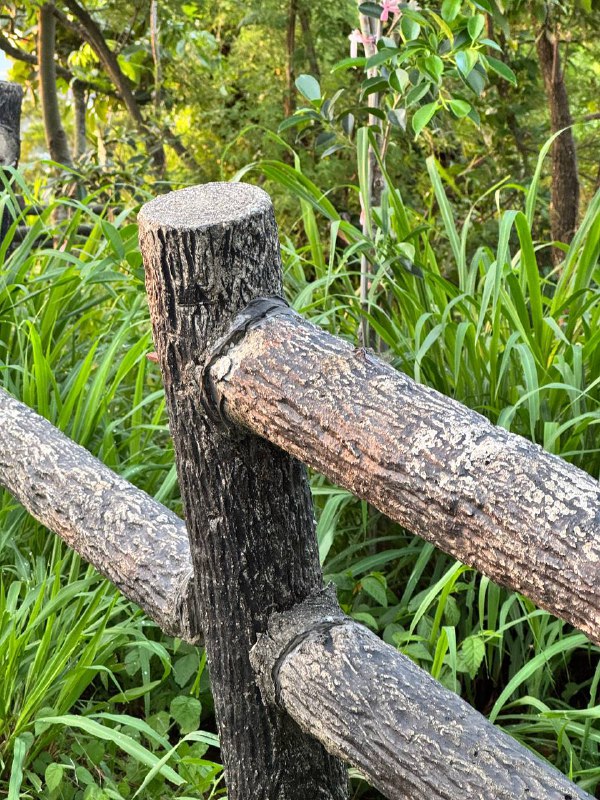 Всем добрый вечерочек!!! Это прямое включение из Гаосюна. Дела, значит, обстоят так. Во-первых, вот вам фоточки и видео — погулял на выходных на ближайшей горочке, 17 минут на скутере от моего дома. Пошёл ближе к вечеру, ибо тут пекло и филиал ада на земле: 33 днём, душно, ночью в лучшем случае 27, но вечером 28–29. Кондер работает дома 24/7, благо он не подводит.А так пошла третья неделя после моего возвращения на Тайвань, а также третья неделя после начала работы на новом месте. В общем, я сейчас работаю в JetBrains (далее JB). Как-то так получилось, что меня бывший начальник посоветовал другому бывшему уже главному техначальнику, который ранее был в JB и сейчас снова тут. И он позвал попробовать — назначил техсобес через неделю и сказал повторить алгоритмы и прочие универские премудрости. А я тот ещё неуч же, в техникуме такого не проходили, и пришлось наверстывать. Было оч интересно при этом. Ну, в общем, собес прошёл, было всё ок, им понравилось. А это, на минуточку, было ещё в марте.После этого начался процесс трудоустройства длиной почти в 3 месяца из-за сложной юрисдикции. Тайвань всё же — у них нет тут офиса, и они используют местную компанию-посредника, в которую меня устроили и клиентом которой является JB. Также я работаю на подработке, которую начал до начала работы в JB, которую хочу завершить как можно скорее и чуть вздохнуть свободнее.В общем, это открывает многие возможности, и я могу подаваться теперь на разные визы, подтверждая работу и доход, что радует. Также я на Тайване отсидел в этом году 6 месяцев и могу уже уехать. Повторю, для чего мне нужно сидеть тут 6 месяцев: чтобы через 3 года жизни по 6 месяцев в году получить ПМЖ и уже иметь такой запасной островок — без необходимости жить тут и без потери статуса, на случай непонятных ситуаций.А так хочется поехать туда, где прохладнее и есть офис JB. Хочу попробовать походить оффлайн чуть-чуть в офис. Так что цель ближайших 1–2 месяцев — завершить максимально подработку и подготовить всё к отъезду неспеша и снова стать скитальцем на ближайшие полгода минимум. Также буду думать про дальнейшие планы (ранее упоминал получение бакалавра) после завершения подработки и отъезда из Тайваня.Всем хорошего дня!Всем добрый вечерочек!!! Это прямое включение из Гаосюна. Дела, значит, обстоят так. Во-первых, вот вам фоточки и видео — погулял на выходных на ближайшей горочке, 17 минут на скутере от моего дома. Пошёл ближе к вечеру, ибо тут пекло и филиал ада на земле: 33 днём, душно, ночью в лучшем случае 27, но вечером 28–29. Кондер работает дома 24/7, благо он не подводит.А так пошла третья неделя после моего возвращения на Тайвань, а также третья неделя после начала работы на новом месте. В общем, я сейчас работаю в JetBrains (далее JB). Как-то так получилось, что меня бывший начальник посоветовал другому бывшему уже главному техначальнику, который ранее был в JB и сейчас снова тут. И он позвал попробовать — назначил техсобес через неделю и сказал повторить алгоритмы и прочие универские премудрости. А я тот ещё неуч же, в техникуме такого не проходили, и пришлось наверстывать. Было оч интересно при этом. Ну, в общем, собес прошёл, было всё ок, им понравилось. А это, на минуточку, было ещё в марте.После этого начался процесс трудоустройства длиной почти в 3 месяца из-за сложной юрисдикции. Тайвань всё же — у них нет тут офиса, и они используют местную компанию-посредника, в которую меня устроили и клиентом которой является JB. Также я работаю на подработке, которую начал до начала работы в JB, которую хочу завершить как можно скорее и чуть вздохнуть свободнее.В общем, это открывает многие возможности, и я могу подаваться теперь на разные визы, подтверждая работу и доход, что радует. Также я на Тайване отсидел в этом году 6 месяцев и могу уже уехать. Повторю, для чего мне нужно сидеть тут 6 месяцев: чтобы через 3 года жизни по 6 месяцев в году получить ПМЖ и уже иметь такой запасной островок — без необходимости жить тут и без потери статуса, на случай непонятных ситуаций.А так хочется поехать туда, где прохладнее и есть офис JB. Хочу попробовать походить оффлайн чуть-чуть в офис. Так что цель ближайших 1–2 месяцев — завершить максимально подработку и подготовить всё к отъезду неспеша и снова стать скитальцем на ближайшие полгода минимум. Также буду думать про дальнейшие планы (ранее упоминал получение бакалавра) после завершения подработки и отъезда из Тайваня.Всем хорошего дня!