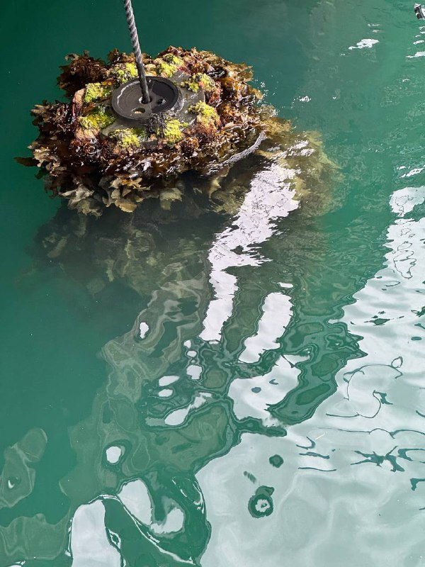 Сегодня совсем краткое включение, в итоге в Новой Зеландии, Окленде. Работаю уже третий день в городской библиотеке, и случайно сел напротив полки с русскоязычными книгами, сразу и не заметил :) Пост с впечатлениями будет позже!Сегодня совсем краткое включение, в итоге в Новой Зеландии, Окленде. Работаю уже третий день в городской библиотеке, и случайно сел напротив полки с русскоязычными книгами, сразу и не заметил :) Пост с впечатлениями будет позже!