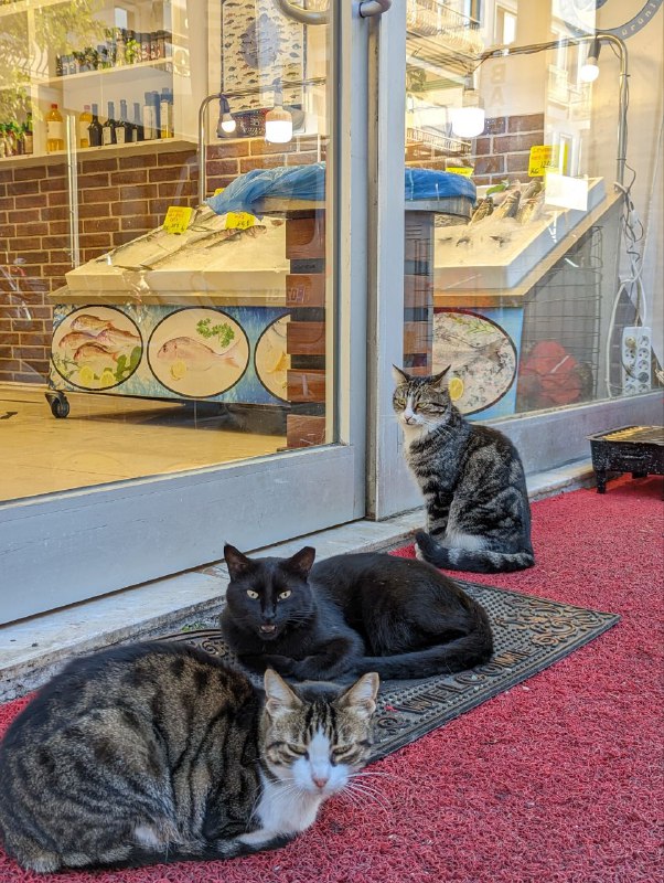 Охранники у рыбной лавки