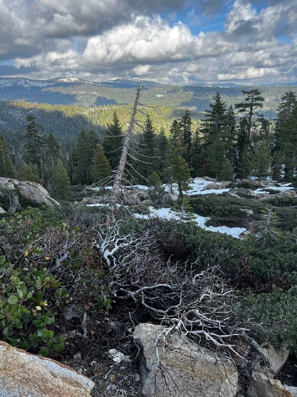 На следующий день мы поехали к красотам, виды так часто менялись, что не успевали фотографировать. Под вечер добрались к озеру Tahoe, сделали кофе на природе, используя ручную кофемолку, аэропресс и газовую горелку, а после заката уже направились к новому ночлегу, это был мини дом, было забавно)На следующий день мы поехали к красотам, виды так часто менялись, что не успевали фотографировать. Под вечер добрались к озеру Tahoe, сделали кофе на природе, используя ручную кофемолку, аэропресс и газовую горелку, а после заката уже направились к новому ночлегу, это был мини дом, было забавно)