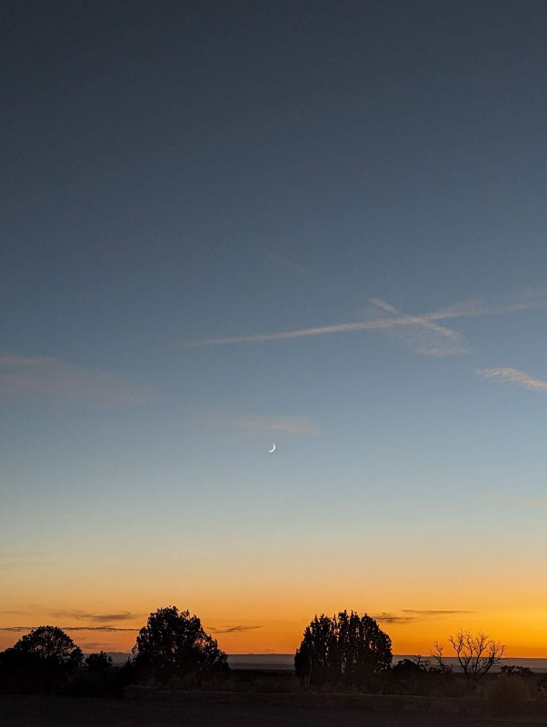 Всем привет! В общем от меня давно не было вестей, были различные периоды, которые чередовались. Супер продуктивные с хорошим настроем и наоборот какие-то моменты когда я был поникшим. Но сейчас вроде прихожу в себя и к балансу, буду стараться рассказывать больше про житуху-бытовуху!В общем на прошлой неделе я взял отпуск, ко мне приехал техасский брат с женой и мы поехали в трип на машине на гранд каньон. Все было отлично, не считая момента когда я чуть задремал на пустой дороге в пустыне и выехал на встречку, потом сразу же поменялись с братом.Погода в это время там тоже огонь, не жарко, тепло, можно гулять и гулять. В понедельник мы проехали от ЛА до деревушки Cottonwood, что в Аризоне и там же заночевали, а с утра двинули уже непосредственно  на гранд каньон. Фоток из деревушки и из airbnb дома нет, но было супер уютно, пожарили мясо на гриле и кукурузку, да и сама деревушка супер уютная, спокойная, при это в ней есть большие магазины и тд.Сам гранд каньон для нас как для туристов представлен в виде большого количества обзрных площадок, между которыми ты перемещаешься в течении дня на машине, есть еще музеи, но мы были ограничены во времени. Встретив закат на каньоне, мы по полной насладились звездным небом и поехали дальше, в сторону Лас Вегаса, продолжение будет завтра!Что-то косяк с видео был, добавил в комменты.Всем привет! В общем от меня давно не было вестей, были различные периоды, которые чередовались. Супер продуктивные с хорошим настроем и наоборот какие-то моменты когда я был поникшим. Но сейчас вроде прихожу в себя и к балансу, буду стараться рассказывать больше про житуху-бытовуху!В общем на прошлой неделе я взял отпуск, ко мне приехал техасский брат с женой и мы поехали в трип на машине на гранд каньон. Все было отлично, не считая момента когда я чуть задремал на пустой дороге в пустыне и выехал на встречку, потом сразу же поменялись с братом.Погода в это время там тоже огонь, не жарко, тепло, можно гулять и гулять. В понедельник мы проехали от ЛА до деревушки Cottonwood, что в Аризоне и там же заночевали, а с утра двинули уже непосредственно  на гранд каньон. Фоток из деревушки и из airbnb дома нет, но было супер уютно, пожарили мясо на гриле и кукурузку, да и сама деревушка супер уютная, спокойная, при это в ней есть большие магазины и тд.Сам гранд каньон для нас как для туристов представлен в виде большого количества обзрных площадок, между которыми ты перемещаешься в течении дня на машине, есть еще музеи, но мы были ограничены во времени. Встретив закат на каньоне, мы по полной насладились звездным небом и поехали дальше, в сторону Лас Вегаса, продолжение будет завтра!Что-то косяк с видео был, добавил в комменты.