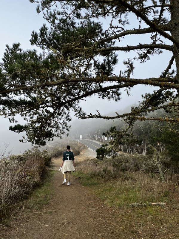 Я пропадал на пару дней, так как много времени проводил с другими людьми, а там как-то не до съёмок, больше общаешься.Но сегодня была поездка, на соседний остров, буквально проехать через мост золотые ворота и ты попадаешь в дикие заповедные места, где очень легко найти уютный и тихий уголок, а нам ещё больше повезло, этот остров был окутан туманом, хотя в городе было ясно, это примерно в часе езды на машине.В целом все обычно, залез на дерево, погулял по сайлент хилу, встретил койота!Завтра дорога обратно в ЛА.Итог по поездке: мне очень понравился Сан Франциско и окрестности, конечно в нем хватает своих неприятных районов, где больше преступности и бездомных, но в тоже время интереснее архитектура, город абсолютно без проблем приходится пешком, больше зелени, перепады высот создают красивые виды, и есть куча локальных уютных улочек и кварталов, где приятно находиться, например там есть итальянская улица, которая наполненного всем тематическим, от кафе и ресторанов до различных магазинов и просто уличных декораций, маленькая Европа. И  тут полно таких разных мест, в сравнении с ЛА это очень приятно. Ощущается как живет город. Намного лучше ситуация с общественным транспортом.А так повидался за эти дни с бывшими коллегами, кого-то из них тоже уволили, много говорил на английском, сходил в зоопарк, особо не снимал, по той же причине, больше говорил и был в моменте.Обновил резюме и готов к активной подготовке. Фух, думаю все!p.s. видео с койотм не поместилось, отправил в комментарияхЯ пропадал на пару дней, так как много времени проводил с другими людьми, а там как-то не до съёмок, больше общаешься.Но сегодня была поездка, на соседний остров, буквально проехать через мост золотые ворота и ты попадаешь в дикие заповедные места, где очень легко найти уютный и тихий уголок, а нам ещё больше повезло, этот остров был окутан туманом, хотя в городе было ясно, это примерно в часе езды на машине.В целом все обычно, залез на дерево, погулял по сайлент хилу, встретил койота!Завтра дорога обратно в ЛА.Итог по поездке: мне очень понравился Сан Франциско и окрестности, конечно в нем хватает своих неприятных районов, где больше преступности и бездомных, но в тоже время интереснее архитектура, город абсолютно без проблем приходится пешком, больше зелени, перепады высот создают красивые виды, и есть куча локальных уютных улочек и кварталов, где приятно находиться, например там есть итальянская улица, которая наполненного всем тематическим, от кафе и ресторанов до различных магазинов и просто уличных декораций, маленькая Европа. И  тут полно таких разных мест, в сравнении с ЛА это очень приятно. Ощущается как живет город. Намного лучше ситуация с общественным транспортом.А так повидался за эти дни с бывшими коллегами, кого-то из них тоже уволили, много говорил на английском, сходил в зоопарк, особо не снимал, по той же причине, больше говорил и был в моменте.Обновил резюме и готов к активной подготовке. Фух, думаю все!p.s. видео с койотм не поместилось, отправил в комментариях