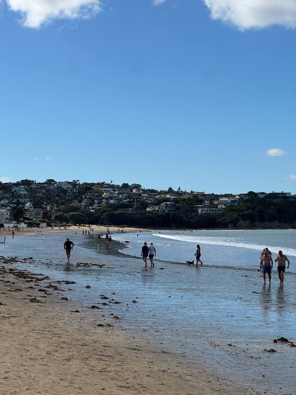 Всем доброго дня, хух, нууу, прозошло много всего как и принято решений...В общем, я ушел из JB и решил остаться в Новой Зеландии!К концу первого месяца нахождения в НЗ я начинал сгорать от одновременной учебы и фулл тайм работы. Но в тоже время ко мне пришло четкое осознание что мне тут нравится и я хотел бы остаться. Поэтому изучив варианты, обсудив с боссом я убедился, что остаться тут продолжая работать на JB невозможно юридически, компания на это не пойдет. Поэтому я принял решение и ушел из компании. Но я это сделал когда спланировал план как тут остаться, что делать дальше.Начнем с того, почему мне тут нравится, первое и самое важно это английский язык везде, я не ощущаю себя бытовым инвалидом, комфортно получать услуги и общаться каждый день. Погода, это мой рай, не холодно, не жарко, влажно, что плюс для моей проблемной кожи. А так же я нашел варианты как легально остаться и довольно быстро получить резиденство.В первую очередь мне нужно выиграть чуть времени и продлить мое легальное пребываение тут. Поэтому я продлил свое обучение еще на 6 месяцев и уже подался на студенческую визу, что даст мне +6 месяцев с конца февраля и возможность работать 25 часов в неделю, пока буду приводить в исполнение мой план с резиденством.Моя цель это сдать IETLS на 6.5, чтобы можно было податься на Straight to Residence визу, для которой так же нужно будет найти оффер от местного работодателя из аккредитованного списка компаний с необходимым порогом по ЗП. Для подачи на визу достаточно оффера, не самой работы, а после получения визы ты не обязан даже работать на этого работодаеля. После получения этой визы через 2 года ПМЖ, а через еще 3 паспорт, то есть суммарно от момента получения визы можно получить паспорт спустя 5 лет.И самое главное весь этот план идеально вписывается в мой план про получения вышки, потому что я никогда не рассматривал получени вышки в англоязычных странах, потому что это нереально дорого, ценник для иностранных студентов в 5-6 раз выше чем для местных и тут нам на помощь приходит резиденство, по которому можно учиться по ценнику для местных, вуаля.Так что тайминг такой, активно продолжаю учиться, жить жизнь и сдаю экзамен в конце февраля надеюсь сразу на нужный мне бал к моменту когда получу студентческую визу и право на работу. И после этого сразу иду штурмовать местные IT компании в поисках оффера для подачи на Straight to Residence визу.Так что план капкан. За следующий год активно подтяну язык, получу резиденство в безопасной стране, пойду учиться в универ что улучшит язык еще лучше и позволит влиться в общество и после завершения бакалавара чуть времени спустя смогу получить довольно сильный паспорт. Сейчас активно ищу нормальное жилье на долгий срок, жить в отеле некомфортно, нужно начинать готовить, чтобы не тратить все накопления.Текуших накоплений хватит на 2 года обычной или 3 года скромной жизни в НЗ. Но я все еще планирую подрабатывать на халтурках part-time, в идеале чтобы не трогать накопления вообще.Так что как-то так. Живем и работаем, всем пис. P.S. Ну и конечно же по традиции прикреплю фотчки и склейку видео, там в предпорследнем видео я случайно заснял нудистсткий пляж в момент когда еще не осознавал что это надистский пляж ;)Всем доброго дня, хух, нууу, прозошло много всего как и принято решений...В общем, я ушел из JB и решил остаться в Новой Зеландии!К концу первого месяца нахождения в НЗ я начинал сгорать от одновременной учебы и фулл тайм работы. Но в тоже время ко мне пришло четкое осознание что мне тут нравится и я хотел бы остаться. Поэтому изучив варианты, обсудив с боссом я убедился, что остаться тут продолжая работать на JB невозможно юридически, компания на это не пойдет. Поэтому я принял решение и ушел из компании. Но я это сделал когда спланировал план как тут остаться, что делать дальше.Начнем с того, почему мне тут нравится, первое и самое важно это английский язык везде, я не ощущаю себя бытовым инвалидом, комфортно получать услуги и общаться каждый день. Погода, это мой рай, не холодно, не жарко, влажно, что плюс для моей проблемной кожи. А так же я нашел варианты как легально остаться и довольно быстро получить резиденство.В первую очередь мне нужно выиграть чуть времени и продлить мое легальное пребываение тут. Поэтому я продлил свое обучение еще на 6 месяцев и уже подался на студенческую визу, что даст мне +6 месяцев с конца февраля и возможность работать 25 часов в неделю, пока буду приводить в исполнение мой план с резиденством.Моя цель это сдать IETLS на 6.5, чтобы можно было податься на Straight to Residence визу, для которой так же нужно будет найти оффер от местного работодателя из аккредитованного списка компаний с необходимым порогом по ЗП. Для подачи на визу достаточно оффера, не самой работы, а после получения визы ты не обязан даже работать на этого работодаеля. После получения этой визы через 2 года ПМЖ, а через еще 3 паспорт, то есть суммарно от момента получения визы можно получить паспорт спустя 5 лет.И самое главное весь этот план идеально вписывается в мой план про получения вышки, потому что я никогда не рассматривал получени вышки в англоязычных странах, потому что это нереально дорого, ценник для иностранных студентов в 5-6 раз выше чем для местных и тут нам на помощь приходит резиденство, по которому можно учиться по ценнику для местных, вуаля.Так что тайминг такой, активно продолжаю учиться, жить жизнь и сдаю экзамен в конце февраля надеюсь сразу на нужный мне бал к моменту когда получу студентческую визу и право на работу. И после этого сразу иду штурмовать местные IT компании в поисках оффера для подачи на Straight to Residence визу.Так что план капкан. За следующий год активно подтяну язык, получу резиденство в безопасной стране, пойду учиться в универ что улучшит язык еще лучше и позволит влиться в общество и после завершения бакалавара чуть времени спустя смогу получить довольно сильный паспорт. Сейчас активно ищу нормальное жилье на долгий срок, жить в отеле некомфортно, нужно начинать готовить, чтобы не тратить все накопления.Текуших накоплений хватит на 2 года обычной или 3 года скромной жизни в НЗ. Но я все еще планирую подрабатывать на халтурках part-time, в идеале чтобы не трогать накопления вообще.Так что как-то так. Живем и работаем, всем пис. P.S. Ну и конечно же по традиции прикреплю фотчки и склейку видео, там в предпорследнем видео я случайно заснял нудистсткий пляж в момент когда еще не осознавал что это надистский пляж ;)