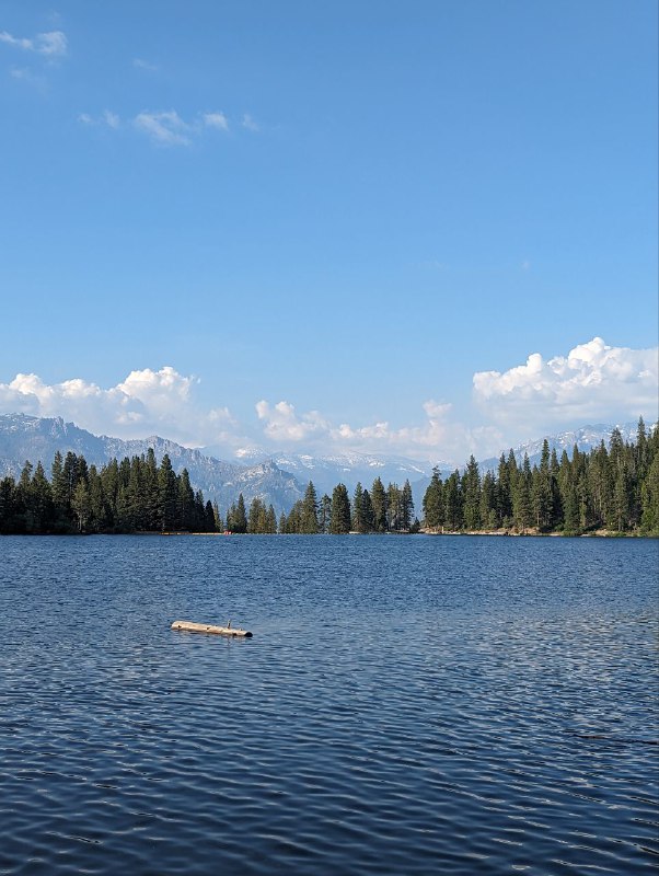 Я вернулся в цивилизацию, в общем в пятницу вечером взяв машину мы ехали 5 часов до места ночёвки, кемп лагерь, где мы поставили палатки и провели ночь, с утра сделали завтрак на газовой горелке, неспеша, устроили русское барбекю, обжаривая тонкие куски мяса на жире от бекона, прожаренного предварительно, исключительно с целью получить жир для жарки)Вообще это было не лучшее место для кемпа в плане видов, так как мы опомнились только за пару часов до выезда и начали искать место куда конкретно едем, и оказалось что все крутые места забиты, а тут куча своих нюансов, где можно ставить палатки где нет и ТД, так что поездка была тестовая понять нюансы, в следующий раз будем грамотнее проходить.Несмотря на такую неподготовленность это абсолютно не помешало нам поездить по паркам, увидеть древние огромные секвойи, посмотрите просто на масштаб, приблизьте восьмую фотку с парковки, там есть люди и они такие мелкие, так же поплавали в озере.Лимит текста заканчивается. Будет ещё пост с видео и больше эмоций!Я вернулся в цивилизацию, в общем в пятницу вечером взяв машину мы ехали 5 часов до места ночёвки, кемп лагерь, где мы поставили палатки и провели ночь, с утра сделали завтрак на газовой горелке, неспеша, устроили русское барбекю, обжаривая тонкие куски мяса на жире от бекона, прожаренного предварительно, исключительно с целью получить жир для жарки)Вообще это было не лучшее место для кемпа в плане видов, так как мы опомнились только за пару часов до выезда и начали искать место куда конкретно едем, и оказалось что все крутые места забиты, а тут куча своих нюансов, где можно ставить палатки где нет и ТД, так что поездка была тестовая понять нюансы, в следующий раз будем грамотнее проходить.Несмотря на такую неподготовленность это абсолютно не помешало нам поездить по паркам, увидеть древние огромные секвойи, посмотрите просто на масштаб, приблизьте восьмую фотку с парковки, там есть люди и они такие мелкие, так же поплавали в озере.Лимит текста заканчивается. Будет ещё пост с видео и больше эмоций!