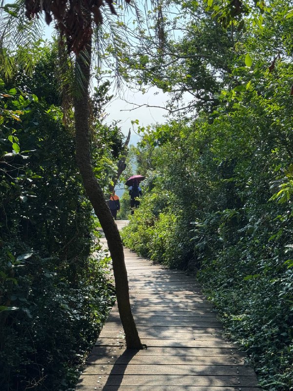 Сходил сегодня с утра погулять на горную тропу рядом с городом, в целом рассказал все в видео, что-то меня прорвало там, желаю вам терпения и прошу прощения)Сходил сегодня с утра погулять на горную тропу рядом с городом, в целом рассказал все в видео, что-то меня прорвало там, желаю вам терпения и прошу прощения)