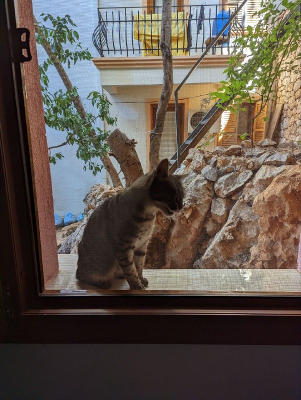 Настроения нет ничего писать, поэтому только такНастроения нет ничего писать, поэтому только так