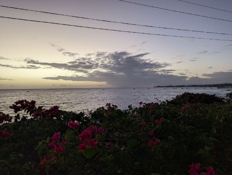 Ещё немного кадров, в общем пока все.Цены, все очень дорого, продукты, сервис, такси.Отели вообще заоблачные.Airbnb мне обошёлся в 60 долларов сутки, и на фоне всех остальных вариантов это ещё более менее.В КФС комбо обед стоит 13 долларов. По продуктам пока мало что могу сказать, позже расскажу.В баре посидел вчера, выпил 2 бутылки местного пива, ролл с креветками, фри, брауни, капучино и все это обошлось в 43 доллара, включая 15 процентов чаевых.10 минут на такси из аэропорта обошлось в 12 долларов.Принимают карту, пока везде где был. Один местный доллар равен ровно половине доллару США.Пытался плавать сегодня с утра, очень сильные волны, так что не рисковал заходить очень глубоко, только где доставал ногами, в целом весело попрыгал на волнах, от дома до пляжа по прямой 7 минут пешком.p.s. все цены указаны уже в us долларах.Ещё немного кадров, в общем пока все.Цены, все очень дорого, продукты, сервис, такси.Отели вообще заоблачные.Airbnb мне обошёлся в 60 долларов сутки, и на фоне всех остальных вариантов это ещё более менее.В КФС комбо обед стоит 13 долларов. По продуктам пока мало что могу сказать, позже расскажу.В баре посидел вчера, выпил 2 бутылки местного пива, ролл с креветками, фри, брауни, капучино и все это обошлось в 43 доллара, включая 15 процентов чаевых.10 минут на такси из аэропорта обошлось в 12 долларов.Принимают карту, пока везде где был. Один местный доллар равен ровно половине доллару США.Пытался плавать сегодня с утра, очень сильные волны, так что не рисковал заходить очень глубоко, только где доставал ногами, в целом весело попрыгал на волнах, от дома до пляжа по прямой 7 минут пешком.p.s. все цены указаны уже в us долларах.