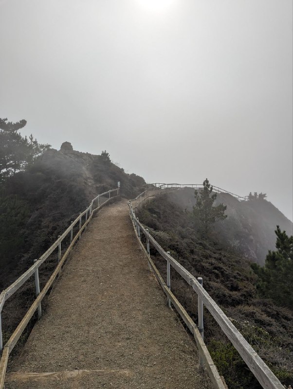 Я пропадал на пару дней, так как много времени проводил с другими людьми, а там как-то не до съёмок, больше общаешься.Но сегодня была поездка, на соседний остров, буквально проехать через мост золотые ворота и ты попадаешь в дикие заповедные места, где очень легко найти уютный и тихий уголок, а нам ещё больше повезло, этот остров был окутан туманом, хотя в городе было ясно, это примерно в часе езды на машине.В целом все обычно, залез на дерево, погулял по сайлент хилу, встретил койота!Завтра дорога обратно в ЛА.Итог по поездке: мне очень понравился Сан Франциско и окрестности, конечно в нем хватает своих неприятных районов, где больше преступности и бездомных, но в тоже время интереснее архитектура, город абсолютно без проблем приходится пешком, больше зелени, перепады высот создают красивые виды, и есть куча локальных уютных улочек и кварталов, где приятно находиться, например там есть итальянская улица, которая наполненного всем тематическим, от кафе и ресторанов до различных магазинов и просто уличных декораций, маленькая Европа. И  тут полно таких разных мест, в сравнении с ЛА это очень приятно. Ощущается как живет город. Намного лучше ситуация с общественным транспортом.А так повидался за эти дни с бывшими коллегами, кого-то из них тоже уволили, много говорил на английском, сходил в зоопарк, особо не снимал, по той же причине, больше говорил и был в моменте.Обновил резюме и готов к активной подготовке. Фух, думаю все!p.s. видео с койотм не поместилось, отправил в комментарияхЯ пропадал на пару дней, так как много времени проводил с другими людьми, а там как-то не до съёмок, больше общаешься.Но сегодня была поездка, на соседний остров, буквально проехать через мост золотые ворота и ты попадаешь в дикие заповедные места, где очень легко найти уютный и тихий уголок, а нам ещё больше повезло, этот остров был окутан туманом, хотя в городе было ясно, это примерно в часе езды на машине.В целом все обычно, залез на дерево, погулял по сайлент хилу, встретил койота!Завтра дорога обратно в ЛА.Итог по поездке: мне очень понравился Сан Франциско и окрестности, конечно в нем хватает своих неприятных районов, где больше преступности и бездомных, но в тоже время интереснее архитектура, город абсолютно без проблем приходится пешком, больше зелени, перепады высот создают красивые виды, и есть куча локальных уютных улочек и кварталов, где приятно находиться, например там есть итальянская улица, которая наполненного всем тематическим, от кафе и ресторанов до различных магазинов и просто уличных декораций, маленькая Европа. И  тут полно таких разных мест, в сравнении с ЛА это очень приятно. Ощущается как живет город. Намного лучше ситуация с общественным транспортом.А так повидался за эти дни с бывшими коллегами, кого-то из них тоже уволили, много говорил на английском, сходил в зоопарк, особо не снимал, по той же причине, больше говорил и был в моменте.Обновил резюме и готов к активной подготовке. Фух, думаю все!p.s. видео с койотм не поместилось, отправил в комментариях