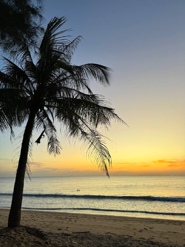 Всем доброго дня!В общем у нас собралась компания из 5 человек, 2 парочки и я и мы решили взять тачку и поехать все вместе за пределы острова, посмотреть красоты.Мы подошли очень безответственно к вопросу аренды и не искали особо лучшее предложение, а пошли в то же место где брали байки и взяли Honda City, за 1.5к бат в сутки с депозитом в 5к. От 3 дней было бы по 1к в сутки, но нам не подходило.Все было здорово, но на обратном пути снесли левое зеркало о грузовик, в момент удара, звук был такой, как будто с него сыпались камни, но нет, просто снесли зеркало. Мы остановились, грузовик этого даже не заметил и завернул на улицу и поехал дальше. Мы долго не думая поехали тоже дальше. Тревога быстро прошла, но было неприятно и немного стрессово из-за неопределенности того во сколько обойдется ремонт.В итоге сегодня отдали тачку, она сказал уточнит сколько стоит ремонт и напишет, депозит не отдали. И недавно написала, что деталь обойдется в 4500 бат, вроде не так все плохо.В общем вывод такой, нужно быть более бдительным когда ты автомобилист в Таиланде, учитывая правый руль и господство байкеров на дороге. Не я сидел за рулем но тем не мене у меня сложилось устойчивое впечатление, что байкером быть в Таиланде намного проще!Всем доброго дня!В общем у нас собралась компания из 5 человек, 2 парочки и я и мы решили взять тачку и поехать все вместе за пределы острова, посмотреть красоты.Мы подошли очень безответственно к вопросу аренды и не искали особо лучшее предложение, а пошли в то же место где брали байки и взяли Honda City, за 1.5к бат в сутки с депозитом в 5к. От 3 дней было бы по 1к в сутки, но нам не подходило.Все было здорово, но на обратном пути снесли левое зеркало о грузовик, в момент удара, звук был такой, как будто с него сыпались камни, но нет, просто снесли зеркало. Мы остановились, грузовик этого даже не заметил и завернул на улицу и поехал дальше. Мы долго не думая поехали тоже дальше. Тревога быстро прошла, но было неприятно и немного стрессово из-за неопределенности того во сколько обойдется ремонт.В итоге сегодня отдали тачку, она сказал уточнит сколько стоит ремонт и напишет, депозит не отдали. И недавно написала, что деталь обойдется в 4500 бат, вроде не так все плохо.В общем вывод такой, нужно быть более бдительным когда ты автомобилист в Таиланде, учитывая правый руль и господство байкеров на дороге. Не я сидел за рулем но тем не мене у меня сложилось устойчивое впечатление, что байкером быть в Таиланде намного проще!