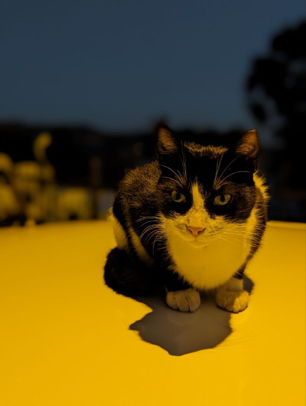 Немного ночного Каша и на сегодня заканчиваем эфирНемного ночного Каша и на сегодня заканчиваем эфир