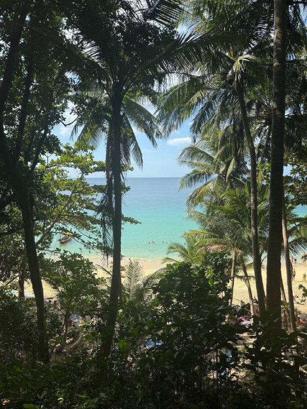 Всем доброго дня!В общем у нас собралась компания из 5 человек, 2 парочки и я и мы решили взять тачку и поехать все вместе за пределы острова, посмотреть красоты.Мы подошли очень безответственно к вопросу аренды и не искали особо лучшее предложение, а пошли в то же место где брали байки и взяли Honda City, за 1.5к бат в сутки с депозитом в 5к. От 3 дней было бы по 1к в сутки, но нам не подходило.Все было здорово, но на обратном пути снесли левое зеркало о грузовик, в момент удара, звук был такой, как будто с него сыпались камни, но нет, просто снесли зеркало. Мы остановились, грузовик этого даже не заметил и завернул на улицу и поехал дальше. Мы долго не думая поехали тоже дальше. Тревога быстро прошла, но было неприятно и немного стрессово из-за неопределенности того во сколько обойдется ремонт.В итоге сегодня отдали тачку, она сказал уточнит сколько стоит ремонт и напишет, депозит не отдали. И недавно написала, что деталь обойдется в 4500 бат, вроде не так все плохо.В общем вывод такой, нужно быть более бдительным когда ты автомобилист в Таиланде, учитывая правый руль и господство байкеров на дороге. Не я сидел за рулем но тем не мене у меня сложилось устойчивое впечатление, что байкером быть в Таиланде намного проще!Всем доброго дня!В общем у нас собралась компания из 5 человек, 2 парочки и я и мы решили взять тачку и поехать все вместе за пределы острова, посмотреть красоты.Мы подошли очень безответственно к вопросу аренды и не искали особо лучшее предложение, а пошли в то же место где брали байки и взяли Honda City, за 1.5к бат в сутки с депозитом в 5к. От 3 дней было бы по 1к в сутки, но нам не подходило.Все было здорово, но на обратном пути снесли левое зеркало о грузовик, в момент удара, звук был такой, как будто с него сыпались камни, но нет, просто снесли зеркало. Мы остановились, грузовик этого даже не заметил и завернул на улицу и поехал дальше. Мы долго не думая поехали тоже дальше. Тревога быстро прошла, но было неприятно и немного стрессово из-за неопределенности того во сколько обойдется ремонт.В итоге сегодня отдали тачку, она сказал уточнит сколько стоит ремонт и напишет, депозит не отдали. И недавно написала, что деталь обойдется в 4500 бат, вроде не так все плохо.В общем вывод такой, нужно быть более бдительным когда ты автомобилист в Таиланде, учитывая правый руль и господство байкеров на дороге. Не я сидел за рулем но тем не мене у меня сложилось устойчивое впечатление, что байкером быть в Таиланде намного проще!