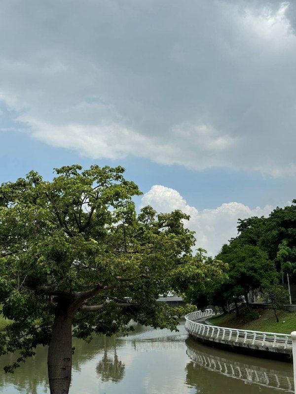 Всем привет! В общем дела следующие, план на неделю почти выполнен, нашел подходящее жилье, сегодня, буквально через час подписываю контракт.Было не так просто, во первых найти тех кто сдает иностранцам, во вторых кто просто ответил бы, я старался использовать переводчик для формирования сообщений, но они порой просто не отвечали. В итоге нашел агента и агентство кто специализируется на сдаче иностранцам и процесс пошел.Первый раз столкнулся с таким, что хозяин через агента попросил меня скинуть мои повседневные фото. Как потом объяснил риелтор это нормальная практика и они боятся сдать «гангстерам» которые зачастую являются иностранцами, а так же русским шпионам)) Риелтор говорит у него был россиянин который просто исчез посреди активного контракта. Но меня одобрили и все гуд!Еще из интересного, благодаря риелтору смог сторговаться, и включить интернет и обслуживание здания в ежемесячную плату и хозяин сам подключит интернет. А так условия стандартные, при въезде платишь за первый месяц, 2 месяца депозита, и пол месяца комиссия агента.Так же хочу поделиться про опыт использования шеринг байков, которые повсюду на Тайване, даже в относительной глуши где я буду снимать, у дома стоит станция от которой до ближайшего метро доехать 5 минут на байке, оттуда 25 мин до центра Гаосюна уже на метро. Так же это стоит копейки 10 NTD (28 рублей, 0.32$) за 30 минут поездки. У великов 3 скорости, регулируется седло, а так же есть корзинка для вещей. И станции действительно на каждом шагу, очень удобно исследовать город на нем. Хоть и  дико жарко сейчас, но даже при этом мне удается покайфовать от поездок.Пока так, до связи!Всем привет! В общем дела следующие, план на неделю почти выполнен, нашел подходящее жилье, сегодня, буквально через час подписываю контракт.Было не так просто, во первых найти тех кто сдает иностранцам, во вторых кто просто ответил бы, я старался использовать переводчик для формирования сообщений, но они порой просто не отвечали. В итоге нашел агента и агентство кто специализируется на сдаче иностранцам и процесс пошел.Первый раз столкнулся с таким, что хозяин через агента попросил меня скинуть мои повседневные фото. Как потом объяснил риелтор это нормальная практика и они боятся сдать «гангстерам» которые зачастую являются иностранцами, а так же русским шпионам)) Риелтор говорит у него был россиянин который просто исчез посреди активного контракта. Но меня одобрили и все гуд!Еще из интересного, благодаря риелтору смог сторговаться, и включить интернет и обслуживание здания в ежемесячную плату и хозяин сам подключит интернет. А так условия стандартные, при въезде платишь за первый месяц, 2 месяца депозита, и пол месяца комиссия агента.Так же хочу поделиться про опыт использования шеринг байков, которые повсюду на Тайване, даже в относительной глуши где я буду снимать, у дома стоит станция от которой до ближайшего метро доехать 5 минут на байке, оттуда 25 мин до центра Гаосюна уже на метро. Так же это стоит копейки 10 NTD (28 рублей, 0.32$) за 30 минут поездки. У великов 3 скорости, регулируется седло, а так же есть корзинка для вещей. И станции действительно на каждом шагу, очень удобно исследовать город на нем. Хоть и  дико жарко сейчас, но даже при этом мне удается покайфовать от поездок.Пока так, до связи!