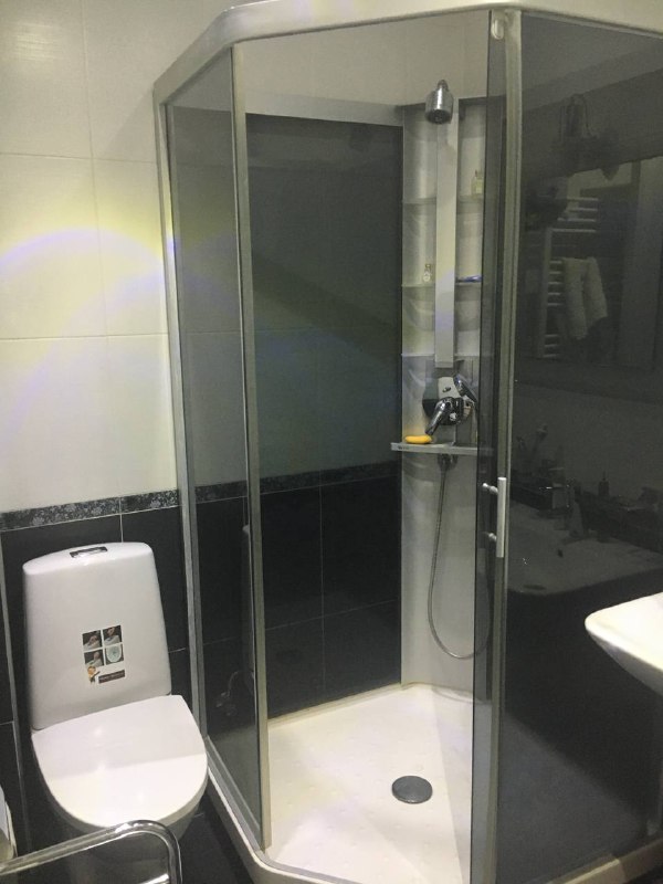 Новая хата на неделю, хозяйка явно любит мышей. p.s. Видео в комментах будетНовая хата на неделю, хозяйка явно любит мышей. p.s. Видео в комментах будет