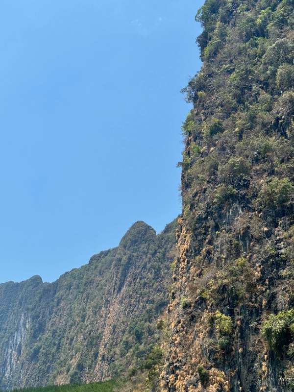 Осторожно, длиннопост, который не поместился в одно сообщение, простите за это.Над пхукетом все чаще опускаются тучи, ведь начинается сезон дождей, которыми так любят пугать туристов, хотя по факту дождь уходит так же быстро как и приходит, на моей памяти в этом году, самый продолжительный дождь шел 2 часа, но это большая редкость, хоть и чаще они стали появляться, но довольно на непродолжительное время. А для меня это наоборот радость, во первых по причине свежести, что опускается вместе с  дождем, хоть и ненадолго, во вторых я люблю его с детства, так уж получилось, что в детстве мы с братом и папой постоянно что-то делали по хозяйству на участке, то заливали бетон, то что-то строили, банально траву косили, в общем дела на каждый день находились, и если начинался дождь, то для меня это была как манна небесная и знаменование, что можно будет отдохнуть от работы))Что по текущей жизни? За время пока я не писал, я успел побывать в Куала Лумпуре, обновить туристическую визу на 3 месяца, поэтому до середины июля я легально могу пребывать тут, а вот насчет дальнейших планов я не решил, на уме пока два варианта, либо получать студенческую визу на год и учить английский или тайский, либо поехать на 3 месяца во вьетнам и пожить пока там. Смущает вписываться на год и не быть свободным в передвижениях, но в тоже время очередной переезд не радует, потому что только наладил весь быт, но это думаю решаемый вопрос.Поздравьте нас, мы наконец доделали первый проект, и iOS и Android приложения готовы к релизу, доделываем тексты для сторов, документы и отправляем на проверку.Осторожно, длиннопост, который не поместился в одно сообщение, простите за это.Над пхукетом все чаще опускаются тучи, ведь начинается сезон дождей, которыми так любят пугать туристов, хотя по факту дождь уходит так же быстро как и приходит, на моей памяти в этом году, самый продолжительный дождь шел 2 часа, но это большая редкость, хоть и чаще они стали появляться, но довольно на непродолжительное время. А для меня это наоборот радость, во первых по причине свежести, что опускается вместе с  дождем, хоть и ненадолго, во вторых я люблю его с детства, так уж получилось, что в детстве мы с братом и папой постоянно что-то делали по хозяйству на участке, то заливали бетон, то что-то строили, банально траву косили, в общем дела на каждый день находились, и если начинался дождь, то для меня это была как манна небесная и знаменование, что можно будет отдохнуть от работы))Что по текущей жизни? За время пока я не писал, я успел побывать в Куала Лумпуре, обновить туристическую визу на 3 месяца, поэтому до середины июля я легально могу пребывать тут, а вот насчет дальнейших планов я не решил, на уме пока два варианта, либо получать студенческую визу на год и учить английский или тайский, либо поехать на 3 месяца во вьетнам и пожить пока там. Смущает вписываться на год и не быть свободным в передвижениях, но в тоже время очередной переезд не радует, потому что только наладил весь быт, но это думаю решаемый вопрос.Поздравьте нас, мы наконец доделали первый проект, и iOS и Android приложения готовы к релизу, доделываем тексты для сторов, документы и отправляем на проверку.