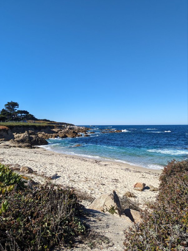 В субботу мы добрались до места ночёвки с палатками, но было дико холодно, градусов 6, хотя днём вполне себе тепло. Так как у меня тонкий спальник, в час ночи я ушел спать в машину, немного было лучше. Заводить не хотел, так как рядом были другие люди и не хотел им мешать спать.В целом пережил ночь, потом добрались до городка Carmel By The Sea, буквально минут 15 от места ночёвки, ближе к океану, это просто рай, излюбленное место местных богатых пенсионеров и мне очень понравились, супер спокойное, много больших деревьев, зелени и приятный европейский даунтаун, с огромным количеством кафешек. В общем очень уютный, но дорогой. Но по ощущениям намного приятнее Лос Анджелеса.Затем мы поехали уже в сторону сан франа, заехали сначала в долину, где стенфорд, Пало Альто, в общем где начинали все известные IT гиганты, такие как Google, Apple и тд, мы заехали в гости к уже бывшему коллеге, где он живёт с семьёй и провели пол дня у него.В целом кремниевая долина мне понравилась, по природе намного приятнее Лос Анджелеса, в последнем более пустынно.К вечеру после заката уже добрались в место нашего аирбнб, в сам город. Я пока мало что из самого города видел, снимать особо не мог, был за баранкой весь день, но завтра и другие дни буду изучать окрестности города передвигаясь без машины, на общественном транспорте и пешком, смогу больше рассказать показать.В субботу мы добрались до места ночёвки с палатками, но было дико холодно, градусов 6, хотя днём вполне себе тепло. Так как у меня тонкий спальник, в час ночи я ушел спать в машину, немного было лучше. Заводить не хотел, так как рядом были другие люди и не хотел им мешать спать.В целом пережил ночь, потом добрались до городка Carmel By The Sea, буквально минут 15 от места ночёвки, ближе к океану, это просто рай, излюбленное место местных богатых пенсионеров и мне очень понравились, супер спокойное, много больших деревьев, зелени и приятный европейский даунтаун, с огромным количеством кафешек. В общем очень уютный, но дорогой. Но по ощущениям намного приятнее Лос Анджелеса.Затем мы поехали уже в сторону сан франа, заехали сначала в долину, где стенфорд, Пало Альто, в общем где начинали все известные IT гиганты, такие как Google, Apple и тд, мы заехали в гости к уже бывшему коллеге, где он живёт с семьёй и провели пол дня у него.В целом кремниевая долина мне понравилась, по природе намного приятнее Лос Анджелеса, в последнем более пустынно.К вечеру после заката уже добрались в место нашего аирбнб, в сам город. Я пока мало что из самого города видел, снимать особо не мог, был за баранкой весь день, но завтра и другие дни буду изучать окрестности города передвигаясь без машины, на общественном транспорте и пешком, смогу больше рассказать показать.