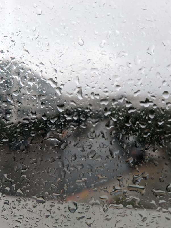 Всем привет, в Калифорнии льет дождь уже второй день, что очень нетипично для ЛА, как мне все говорят, таксистки и русскоговорящие местные.Английского на удивление для бытовых вопросов хватает за глаза, сходил в банк, открыл счёт в JPM Chase, сотрудник говорил понятно да и я отвечал тоже, так что проблем не возникло. Карта придет по почте через несколько дней, в гугл пей уже добавил и могу использовать, грузинскую можно оставить в покое.Сходил в офис, получил пропуск, компания арендует комнату в коворк центре WeWork.Как джет лаг начался так его и использую, встаю в 6-7 утра по местному, в 7:30 все равно рабочий созвон и ложусь рано, в 9:30-10, в целом пока все отлично, буду придерживаться такого режима. Затестил доставку, работает быстро, очень быстро, как-то заказал мак завтрак, с момента заказа до еды в доме прошло 13 минут. В целом все что касается сервиса мне пока нравится, у меня были очень низкие ожидания. Но на контрасте с Барбадосом и Ташкентом пока все космически.Процесс получения документов, оформления в процессе, завтра иду получать SSN.Так же стоит вопрос с транспортом, машина обязательно будет, в планах на потом, но пока думаю про велик, гонять до офиса, 30-35 минут на велике должно быть, а на тачке без пробок 12 минут, такси стоит до офиса 12-15 долларов в одну сторону, поэтому нужно решать вопрос и экономить, не планирую ходить каждый день конечно, но посмотрим, пока прикольно, учитывая что особо никогда в офисах не работал.