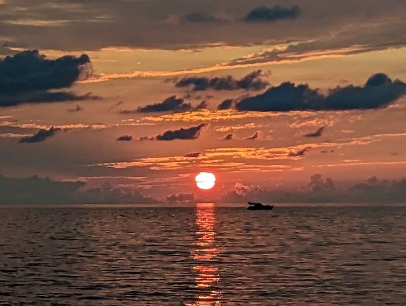 Многократный зум, поэтому картинка смазана и создаётся впечатление, что это картинаМногократный зум, поэтому картинка смазана и создаётся впечатление, что это картина