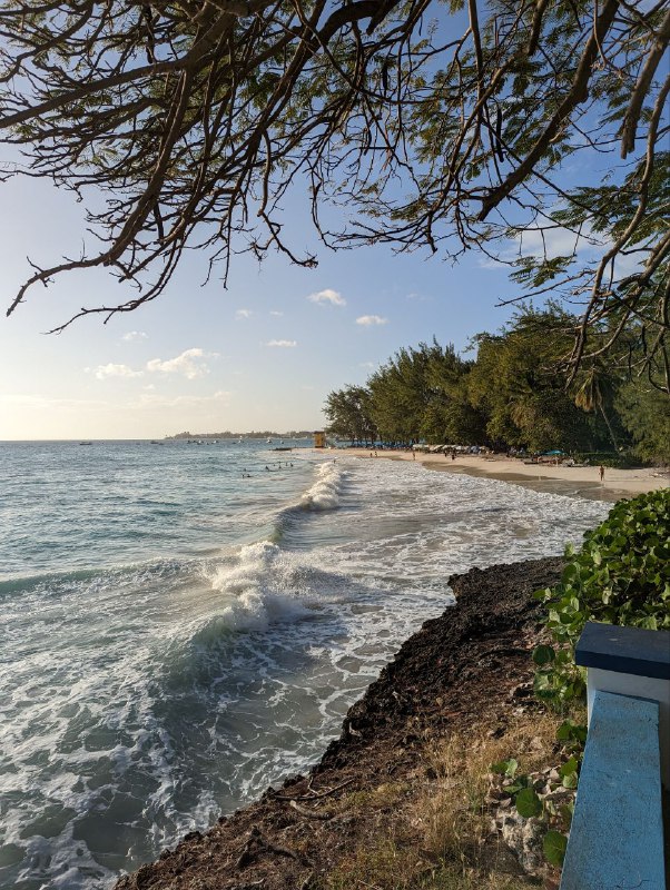 Спустя двух дней заточения и отлежки после джет лага, вышел на прогулку, мне пока очень нравится, скажу я вам. Пока без лишних слов...Спустя двух дней заточения и отлежки после джет лага, вышел на прогулку, мне пока очень нравится, скажу я вам. Пока без лишних слов...