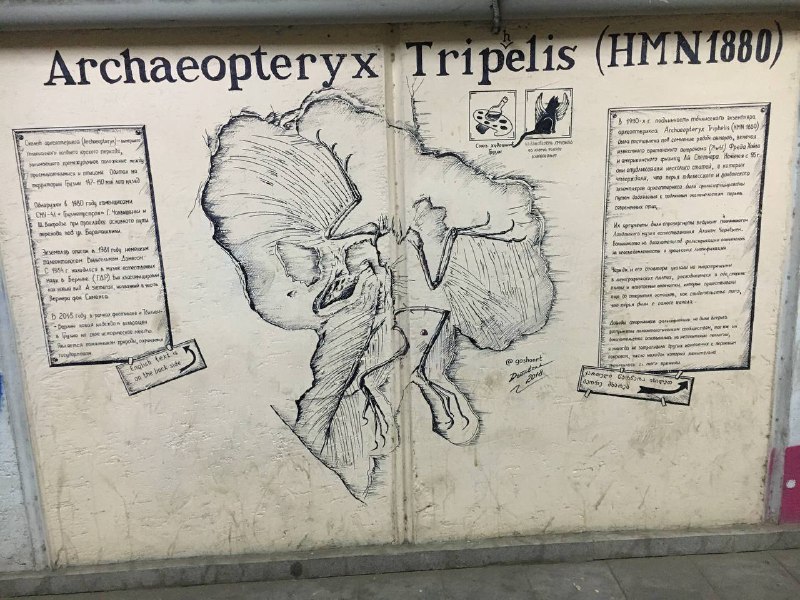 В Тбилиси очень много стрит арта, самый популярный местный художник goshaart. Сразу вспоминается казанский alesha_artВ Тбилиси очень много стрит арта, самый популярный местный художник goshaart. Сразу вспоминается казанский alesha_art