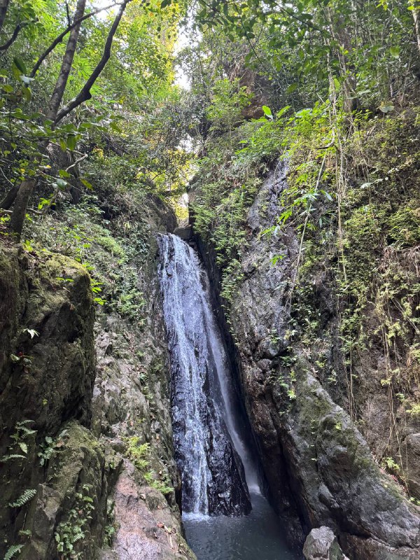 Доброе утро! Выдалась минутка подумать. Из-за того что сегодня нужно съезжать, а на долгосрок так и не нашел что снимать, нахожусь в активном поиске, поэтому ощущаю себя немного беззащитным, видимо так влияет базовая потребность человека в жилище. Это не проблема, просто ощущение, уверен все найдется, просто хочется найти что-то хорошее и по низкой цене.А так все предыдущие дни куда-то катался, что-то смотрел и ел. Удалось даже посетить местную забегаловку со звездой Мишлен, в Пхукет тауне, где поели на троих на 20 долларов, было много не удалось доесть.Привык к местному движению на дорогах. Останавливал гаишник, но так как у меня есть российские права с А категорией то отпустил и попросил в следующий раз приезжать с международными.Похайкали по тропам местным, конечно обустроены они совсем не как в штатах, но ходить можно.Есть опция питаться очень дешево. Из интересных отличий от штатов, минимаркеты 7/11 и фастфуд McDonald’s пришли сюда из США, но тут это приличные места, а в Штатах гадюшники. Особенно 7/11, тут это очень чистое место где всегда хорошо пахнет, а в штатах место обитания бездомных с грязью вокруг. Так же тут много чего продают в маленьких пачках по адекватным ценам, в штатах обычно все в больших пачках или по сетам. А по штучно дорого.Как-то так пока. Фоток делаю мало, так как обычно кругом много людей, а я не могу себе пока позволить делать фотографии без согласия.Доброе утро! Выдалась минутка подумать. Из-за того что сегодня нужно съезжать, а на долгосрок так и не нашел что снимать, нахожусь в активном поиске, поэтому ощущаю себя немного беззащитным, видимо так влияет базовая потребность человека в жилище. Это не проблема, просто ощущение, уверен все найдется, просто хочется найти что-то хорошее и по низкой цене.А так все предыдущие дни куда-то катался, что-то смотрел и ел. Удалось даже посетить местную забегаловку со звездой Мишлен, в Пхукет тауне, где поели на троих на 20 долларов, было много не удалось доесть.Привык к местному движению на дорогах. Останавливал гаишник, но так как у меня есть российские права с А категорией то отпустил и попросил в следующий раз приезжать с международными.Похайкали по тропам местным, конечно обустроены они совсем не как в штатах, но ходить можно.Есть опция питаться очень дешево. Из интересных отличий от штатов, минимаркеты 7/11 и фастфуд McDonald’s пришли сюда из США, но тут это приличные места, а в Штатах гадюшники. Особенно 7/11, тут это очень чистое место где всегда хорошо пахнет, а в штатах место обитания бездомных с грязью вокруг. Так же тут много чего продают в маленьких пачках по адекватным ценам, в штатах обычно все в больших пачках или по сетам. А по штучно дорого.Как-то так пока. Фоток делаю мало, так как обычно кругом много людей, а я не могу себе пока позволить делать фотографии без согласия.