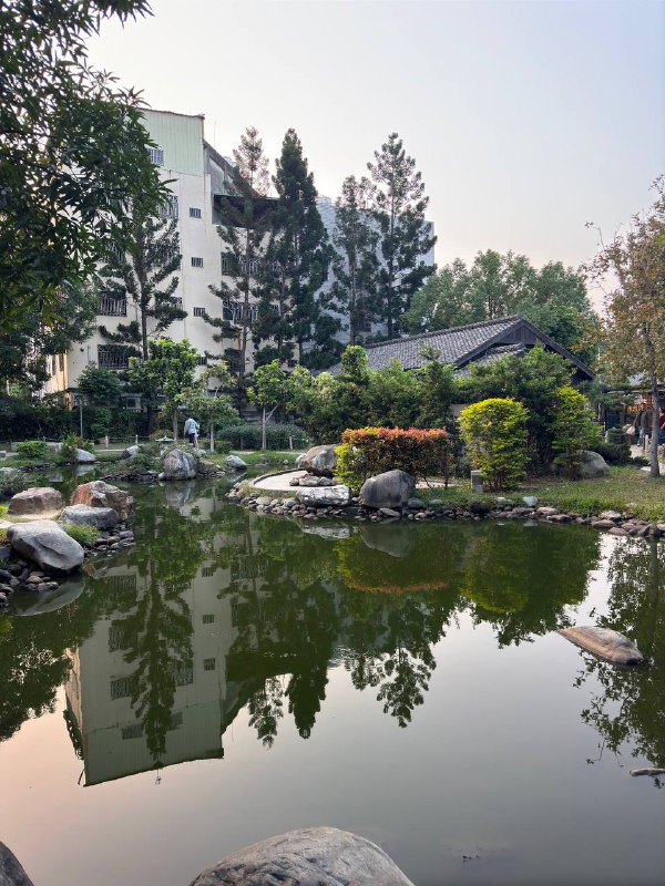 Всем привет, небольшой отчет об активной социализации!Когда я только прилетел на Тайвань и был в Тайбэе, в местном ру чате собрались с ребятами погулять, четверо по итогу нас было, до отъезда в Гаосюн гуляли как раз этой компанией +-. После были неудачные попытки собраться на шашлыки к одному участнику новоиспеченной группы, у нее муж местный и они живут в доме.И вот спустя несколько месяцев пришлось взять инициативу и запушить всех, чтобы наконец собрались, и это удалось, вчера к обеду на скоростном поезде поехал пару станций на север, в город Цзяи, туда же двое ребят из Тайбэя подъехали примерно к одному времени, откуда нас забрала Надя, с мужем Исяном на авто. Ну что, по итогу пожарили мясо, выпили, поболтали, соседи местные с детьми приходили к столу, компания вышла большая. Отдельное удовольствие наблюдать за детьми которых родители заставляют говорить на Английском))Тайбэйские ребята уехали вечером того же дня, а я решил остаться с ночовкой, потому что хотели погулять еще в городе на следующий день.У Исяна на Гусиной ферме произошло ЧП, поэтому не смог он к нам присоединиться, и нам пришлось ехать автобусами, пешком и тд, в общем погуляли, поели, устали и уже оттуда я поехал на станцию скоростного поезда, а Надя в свою деревню. В целом было весело и Исян забавный мужик, сам учит Русский, хоть и на ломанном но все же говорит, он в общем как вы могли догадаться, потомственный Гусевод, у него крупные гусиные фермы. А еще у них клевая ящерка по имени Люся)Фото мало, и шашлык грустный на фото, уже под конец решил щелкнуть, простите)Всем привет, небольшой отчет об активной социализации!Когда я только прилетел на Тайвань и был в Тайбэе, в местном ру чате собрались с ребятами погулять, четверо по итогу нас было, до отъезда в Гаосюн гуляли как раз этой компанией +-. После были неудачные попытки собраться на шашлыки к одному участнику новоиспеченной группы, у нее муж местный и они живут в доме.И вот спустя несколько месяцев пришлось взять инициативу и запушить всех, чтобы наконец собрались, и это удалось, вчера к обеду на скоростном поезде поехал пару станций на север, в город Цзяи, туда же двое ребят из Тайбэя подъехали примерно к одному времени, откуда нас забрала Надя, с мужем Исяном на авто. Ну что, по итогу пожарили мясо, выпили, поболтали, соседи местные с детьми приходили к столу, компания вышла большая. Отдельное удовольствие наблюдать за детьми которых родители заставляют говорить на Английском))Тайбэйские ребята уехали вечером того же дня, а я решил остаться с ночовкой, потому что хотели погулять еще в городе на следующий день.У Исяна на Гусиной ферме произошло ЧП, поэтому не смог он к нам присоединиться, и нам пришлось ехать автобусами, пешком и тд, в общем погуляли, поели, устали и уже оттуда я поехал на станцию скоростного поезда, а Надя в свою деревню. В целом было весело и Исян забавный мужик, сам учит Русский, хоть и на ломанном но все же говорит, он в общем как вы могли догадаться, потомственный Гусевод, у него крупные гусиные фермы. А еще у них клевая ящерка по имени Люся)Фото мало, и шашлык грустный на фото, уже под конец решил щелкнуть, простите)