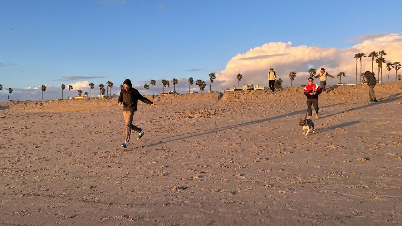 Всем привет, я жив, держу в курсе, как-то загружен пока, поэтому редко выхожу на связь.Из интересного, вчера столкнулся с засором трубы, не стоило конечно такое количество листов капусты засовывать в измельчитель отходов в раковине, но ничего, сходил купил ёршик 5 метровый, разобрал трубы, пробил слив, прочистил, собрал обратно и затянул как следует, для этого купил ключ. Все вышло в 20 баксов, и магазин был рядом, так что все сложилось хорошо и своевременно. Боюсь представить сколько стоил бы вызов сантехника и скокло времени потратил бы.А так, пришел к идеальному режиму, ложусь спать часов в 10, встаю в 7 утра всегда, даже в выходные, готовлю, ем строго 3 раза +- в одно и то же время, нет никаких перепадов настроения при таком режиме, от слова совсем, и продуктивность на высоте.Как-то так, всем пис, скоро будут новости.Всем привет, я жив, держу в курсе, как-то загружен пока, поэтому редко выхожу на связь.Из интересного, вчера столкнулся с засором трубы, не стоило конечно такое количество листов капусты засовывать в измельчитель отходов в раковине, но ничего, сходил купил ёршик 5 метровый, разобрал трубы, пробил слив, прочистил, собрал обратно и затянул как следует, для этого купил ключ. Все вышло в 20 баксов, и магазин был рядом, так что все сложилось хорошо и своевременно. Боюсь представить сколько стоил бы вызов сантехника и скокло времени потратил бы.А так, пришел к идеальному режиму, ложусь спать часов в 10, встаю в 7 утра всегда, даже в выходные, готовлю, ем строго 3 раза +- в одно и то же время, нет никаких перепадов настроения при таком режиме, от слова совсем, и продуктивность на высоте.Как-то так, всем пис, скоро будут новости.