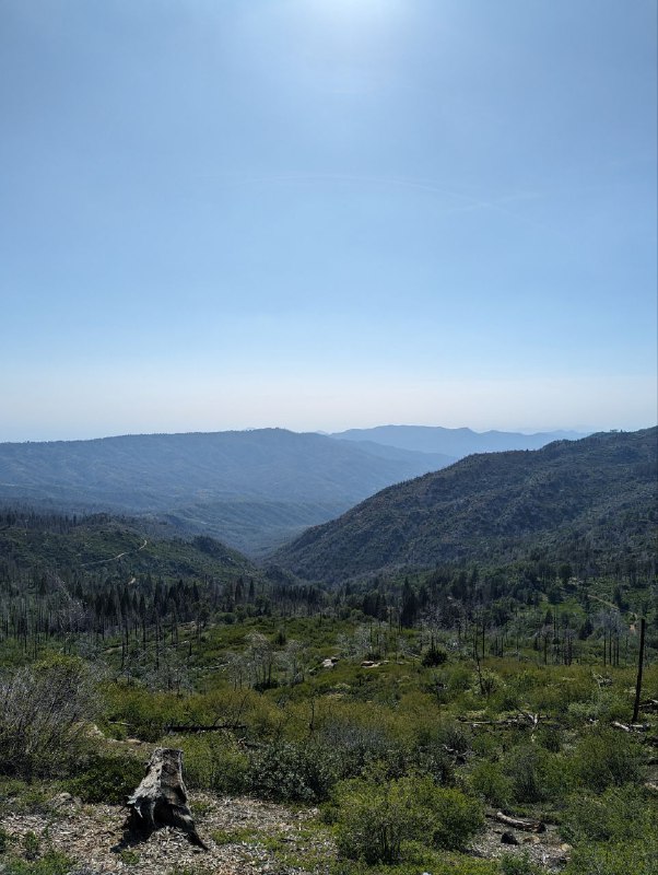 Я вернулся в цивилизацию, в общем в пятницу вечером взяв машину мы ехали 5 часов до места ночёвки, кемп лагерь, где мы поставили палатки и провели ночь, с утра сделали завтрак на газовой горелке, неспеша, устроили русское барбекю, обжаривая тонкие куски мяса на жире от бекона, прожаренного предварительно, исключительно с целью получить жир для жарки)Вообще это было не лучшее место для кемпа в плане видов, так как мы опомнились только за пару часов до выезда и начали искать место куда конкретно едем, и оказалось что все крутые места забиты, а тут куча своих нюансов, где можно ставить палатки где нет и ТД, так что поездка была тестовая понять нюансы, в следующий раз будем грамотнее проходить.Несмотря на такую неподготовленность это абсолютно не помешало нам поездить по паркам, увидеть древние огромные секвойи, посмотрите просто на масштаб, приблизьте восьмую фотку с парковки, там есть люди и они такие мелкие, так же поплавали в озере.Лимит текста заканчивается. Будет ещё пост с видео и больше эмоций!Я вернулся в цивилизацию, в общем в пятницу вечером взяв машину мы ехали 5 часов до места ночёвки, кемп лагерь, где мы поставили палатки и провели ночь, с утра сделали завтрак на газовой горелке, неспеша, устроили русское барбекю, обжаривая тонкие куски мяса на жире от бекона, прожаренного предварительно, исключительно с целью получить жир для жарки)Вообще это было не лучшее место для кемпа в плане видов, так как мы опомнились только за пару часов до выезда и начали искать место куда конкретно едем, и оказалось что все крутые места забиты, а тут куча своих нюансов, где можно ставить палатки где нет и ТД, так что поездка была тестовая понять нюансы, в следующий раз будем грамотнее проходить.Несмотря на такую неподготовленность это абсолютно не помешало нам поездить по паркам, увидеть древние огромные секвойи, посмотрите просто на масштаб, приблизьте восьмую фотку с парковки, там есть люди и они такие мелкие, так же поплавали в озере.Лимит текста заканчивается. Будет ещё пост с видео и больше эмоций!