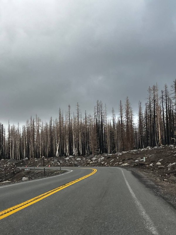 На следующий день мы поехали к красотам, виды так часто менялись, что не успевали фотографировать. Под вечер добрались к озеру Tahoe, сделали кофе на природе, используя ручную кофемолку, аэропресс и газовую горелку, а после заката уже направились к новому ночлегу, это был мини дом, было забавно)На следующий день мы поехали к красотам, виды так часто менялись, что не успевали фотографировать. Под вечер добрались к озеру Tahoe, сделали кофе на природе, используя ручную кофемолку, аэропресс и газовую горелку, а после заката уже направились к новому ночлегу, это был мини дом, было забавно)