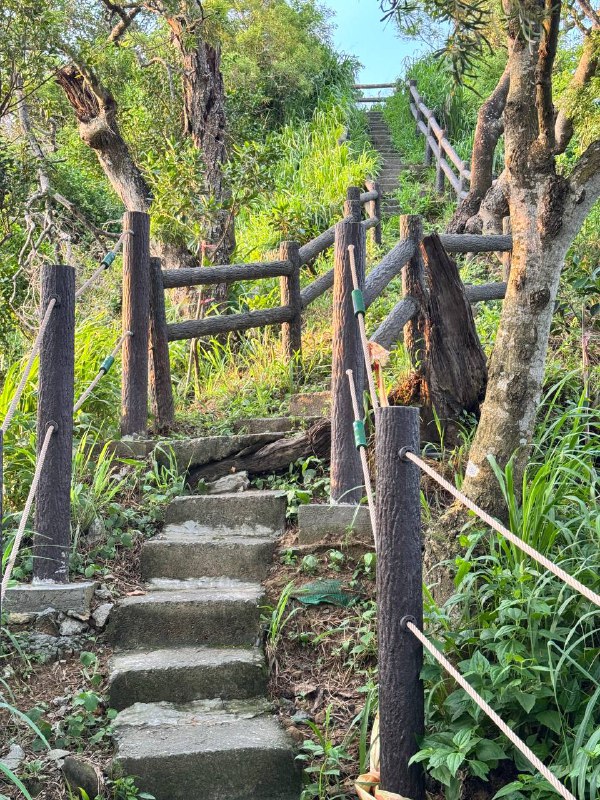Всем добрый вечерочек!!! Это прямое включение из Гаосюна. Дела, значит, обстоят так. Во-первых, вот вам фоточки и видео — погулял на выходных на ближайшей горочке, 17 минут на скутере от моего дома. Пошёл ближе к вечеру, ибо тут пекло и филиал ада на земле: 33 днём, душно, ночью в лучшем случае 27, но вечером 28–29. Кондер работает дома 24/7, благо он не подводит.А так пошла третья неделя после моего возвращения на Тайвань, а также третья неделя после начала работы на новом месте. В общем, я сейчас работаю в JetBrains (далее JB). Как-то так получилось, что меня бывший начальник посоветовал другому бывшему уже главному техначальнику, который ранее был в JB и сейчас снова тут. И он позвал попробовать — назначил техсобес через неделю и сказал повторить алгоритмы и прочие универские премудрости. А я тот ещё неуч же, в техникуме такого не проходили, и пришлось наверстывать. Было оч интересно при этом. Ну, в общем, собес прошёл, было всё ок, им понравилось. А это, на минуточку, было ещё в марте.После этого начался процесс трудоустройства длиной почти в 3 месяца из-за сложной юрисдикции. Тайвань всё же — у них нет тут офиса, и они используют местную компанию-посредника, в которую меня устроили и клиентом которой является JB. Также я работаю на подработке, которую начал до начала работы в JB, которую хочу завершить как можно скорее и чуть вздохнуть свободнее.В общем, это открывает многие возможности, и я могу подаваться теперь на разные визы, подтверждая работу и доход, что радует. Также я на Тайване отсидел в этом году 6 месяцев и могу уже уехать. Повторю, для чего мне нужно сидеть тут 6 месяцев: чтобы через 3 года жизни по 6 месяцев в году получить ПМЖ и уже иметь такой запасной островок — без необходимости жить тут и без потери статуса, на случай непонятных ситуаций.А так хочется поехать туда, где прохладнее и есть офис JB. Хочу попробовать походить оффлайн чуть-чуть в офис. Так что цель ближайших 1–2 месяцев — завершить максимально подработку и подготовить всё к отъезду неспеша и снова стать скитальцем на ближайшие полгода минимум. Также буду думать про дальнейшие планы (ранее упоминал получение бакалавра) после завершения подработки и отъезда из Тайваня.Всем хорошего дня!Всем добрый вечерочек!!! Это прямое включение из Гаосюна. Дела, значит, обстоят так. Во-первых, вот вам фоточки и видео — погулял на выходных на ближайшей горочке, 17 минут на скутере от моего дома. Пошёл ближе к вечеру, ибо тут пекло и филиал ада на земле: 33 днём, душно, ночью в лучшем случае 27, но вечером 28–29. Кондер работает дома 24/7, благо он не подводит.А так пошла третья неделя после моего возвращения на Тайвань, а также третья неделя после начала работы на новом месте. В общем, я сейчас работаю в JetBrains (далее JB). Как-то так получилось, что меня бывший начальник посоветовал другому бывшему уже главному техначальнику, который ранее был в JB и сейчас снова тут. И он позвал попробовать — назначил техсобес через неделю и сказал повторить алгоритмы и прочие универские премудрости. А я тот ещё неуч же, в техникуме такого не проходили, и пришлось наверстывать. Было оч интересно при этом. Ну, в общем, собес прошёл, было всё ок, им понравилось. А это, на минуточку, было ещё в марте.После этого начался процесс трудоустройства длиной почти в 3 месяца из-за сложной юрисдикции. Тайвань всё же — у них нет тут офиса, и они используют местную компанию-посредника, в которую меня устроили и клиентом которой является JB. Также я работаю на подработке, которую начал до начала работы в JB, которую хочу завершить как можно скорее и чуть вздохнуть свободнее.В общем, это открывает многие возможности, и я могу подаваться теперь на разные визы, подтверждая работу и доход, что радует. Также я на Тайване отсидел в этом году 6 месяцев и могу уже уехать. Повторю, для чего мне нужно сидеть тут 6 месяцев: чтобы через 3 года жизни по 6 месяцев в году получить ПМЖ и уже иметь такой запасной островок — без необходимости жить тут и без потери статуса, на случай непонятных ситуаций.А так хочется поехать туда, где прохладнее и есть офис JB. Хочу попробовать походить оффлайн чуть-чуть в офис. Так что цель ближайших 1–2 месяцев — завершить максимально подработку и подготовить всё к отъезду неспеша и снова стать скитальцем на ближайшие полгода минимум. Также буду думать про дальнейшие планы (ранее упоминал получение бакалавра) после завершения подработки и отъезда из Тайваня.Всем хорошего дня!