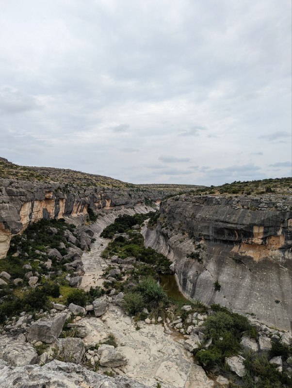 Сегодняшний день завершился стейками и кукурузой на гриле посреди пустыни, в национальном парке Big Bend, что в Техасе, практически на границе с Мексикой!Попытайтесь представить обстановку по моему описанию, так как темень кругом и камера не передаст в любом случае.32 градуса тепла, ты сидишь посреди пустыни, очень теплый воздух хоть как-то спасает тебя от духоты, небо затянуто облаками, через которые еле пробиваются лучи огромной луны, а тем временем на горизонте, освещая буквально на миг силуэты гор, сверкают молнии без грома, а ты утопаешь в своих мыслях...Сегодняшний день завершился стейками и кукурузой на гриле посреди пустыни, в национальном парке Big Bend, что в Техасе, практически на границе с Мексикой!Попытайтесь представить обстановку по моему описанию, так как темень кругом и камера не передаст в любом случае.32 градуса тепла, ты сидишь посреди пустыни, очень теплый воздух хоть как-то спасает тебя от духоты, небо затянуто облаками, через которые еле пробиваются лучи огромной луны, а тем временем на горизонте, освещая буквально на миг силуэты гор, сверкают молнии без грома, а ты утопаешь в своих мыслях...